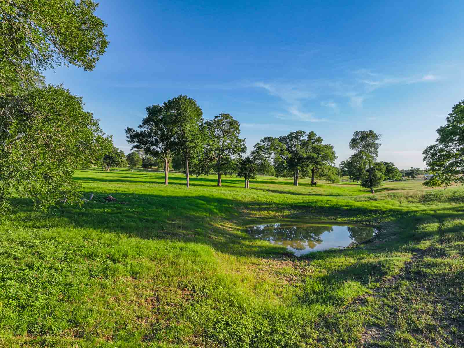 Lockhart Hills Ranch property picture 20 of 65