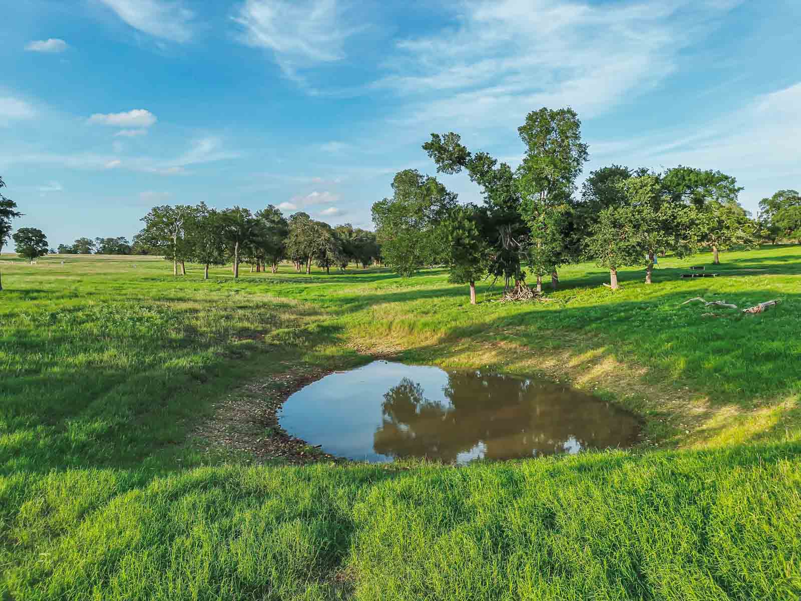 Lockhart Hills Ranch property picture 11 of 65