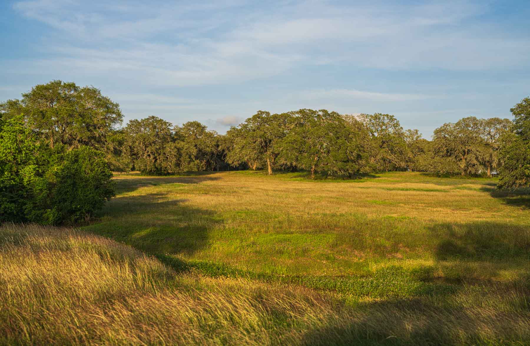 Lockhart Hills Ranch property picture 65 of 65