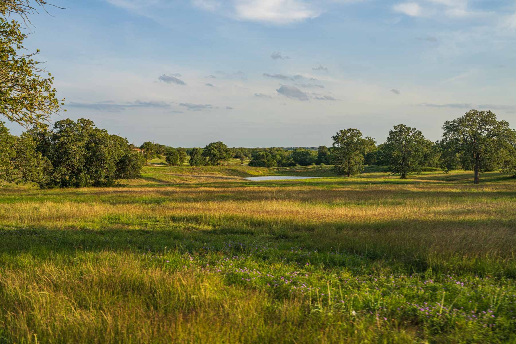 Lockhart Hills Ranch property picture 2 of 65