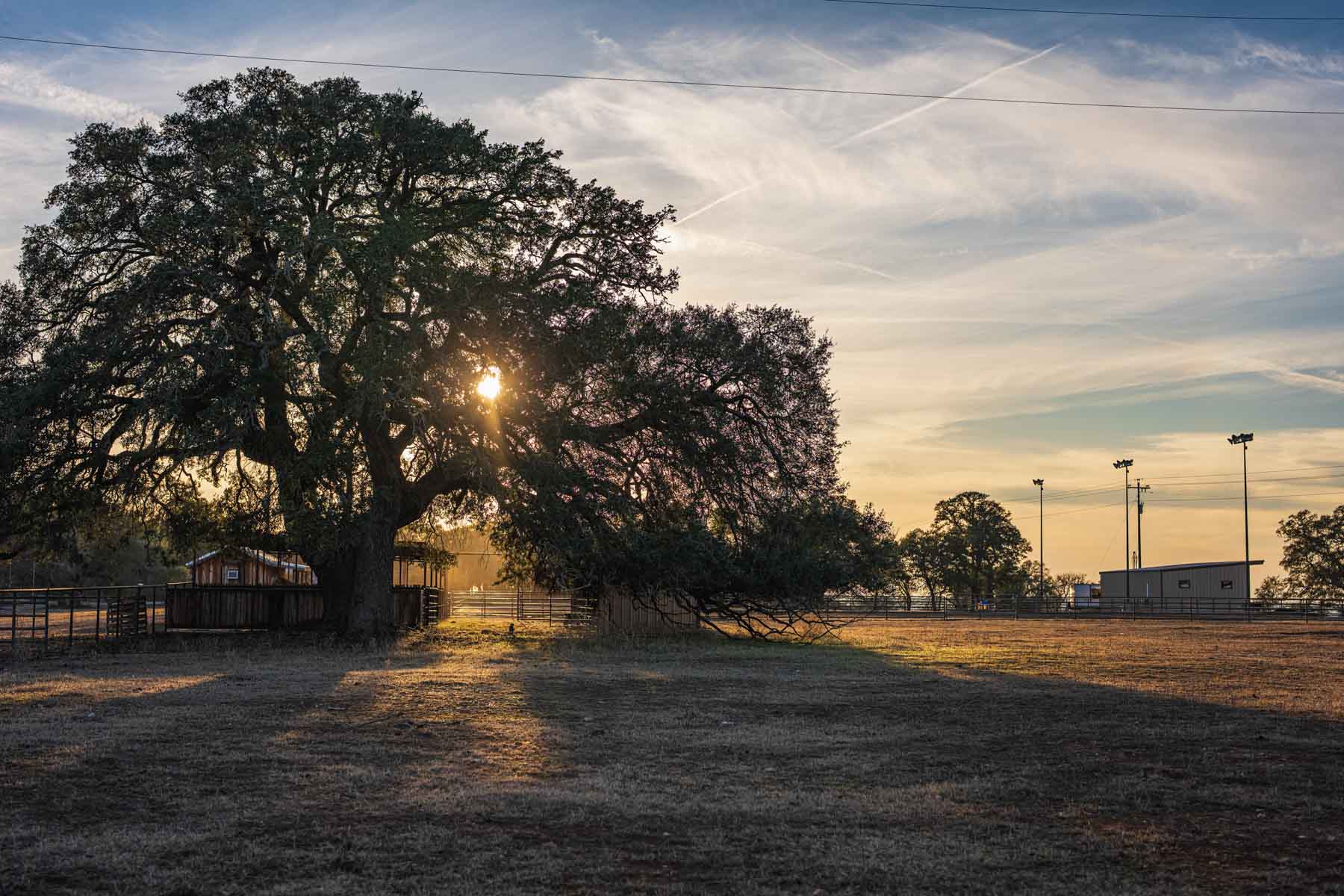 Lockhart Hills Ranch property picture 39 of 65