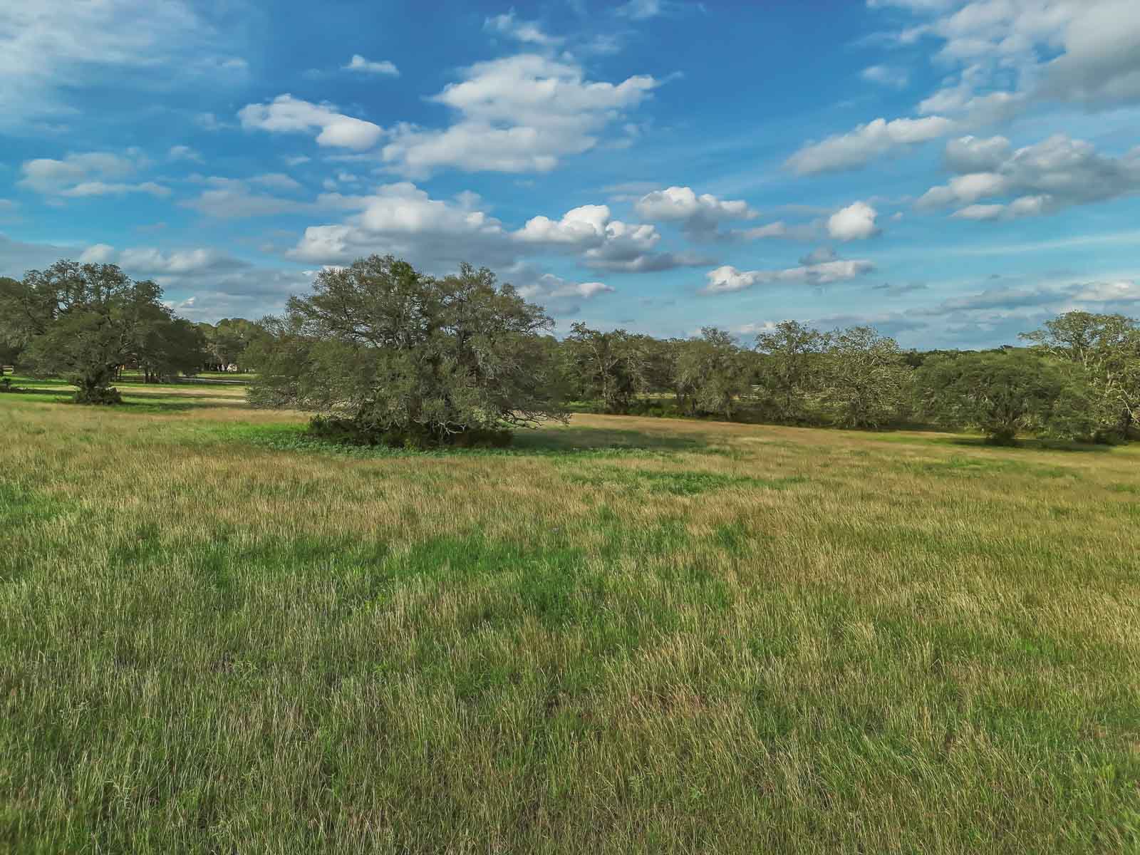 Lockhart Hills Ranch property picture 27 of 65
