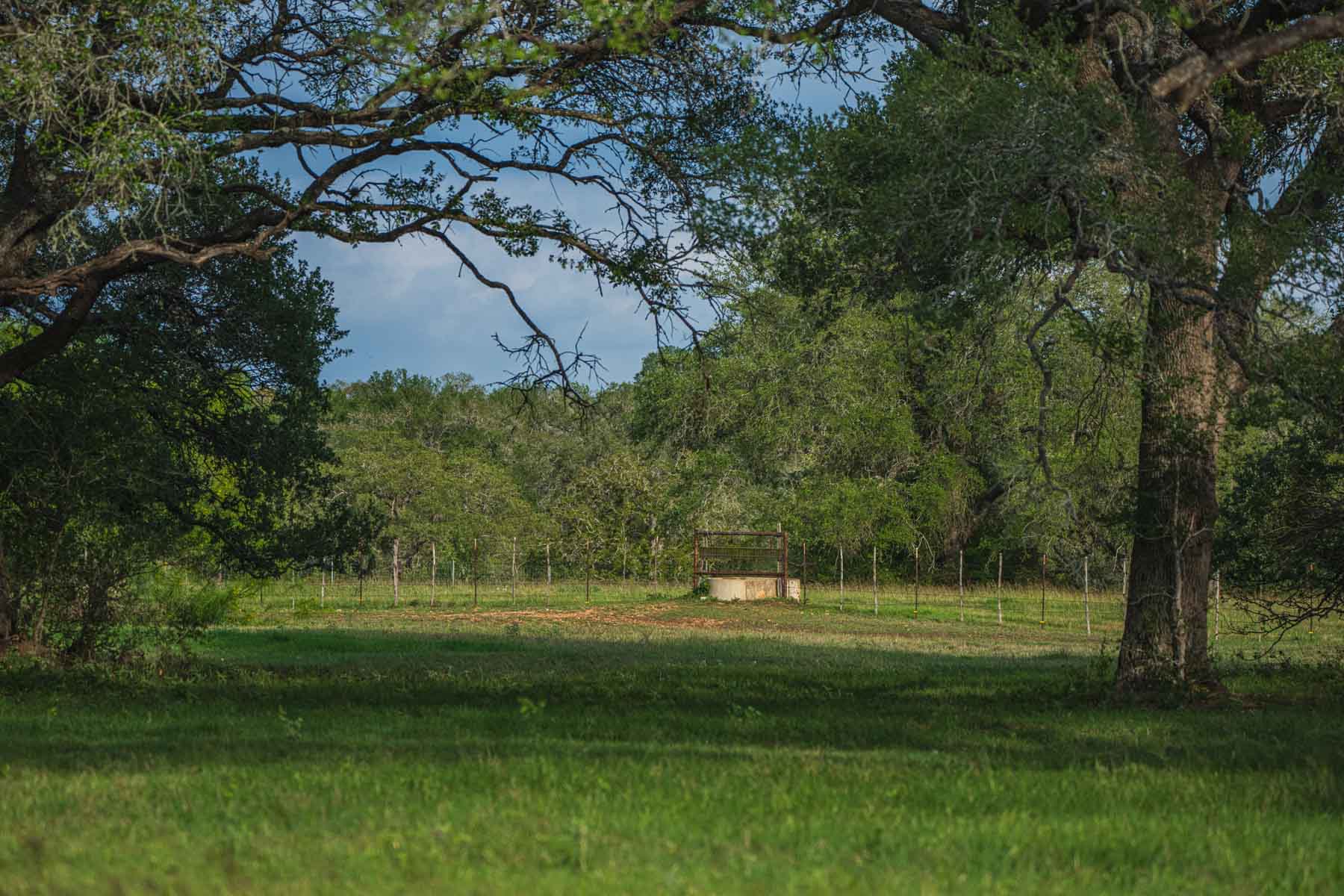 Lockhart Hills Ranch property picture 6 of 65