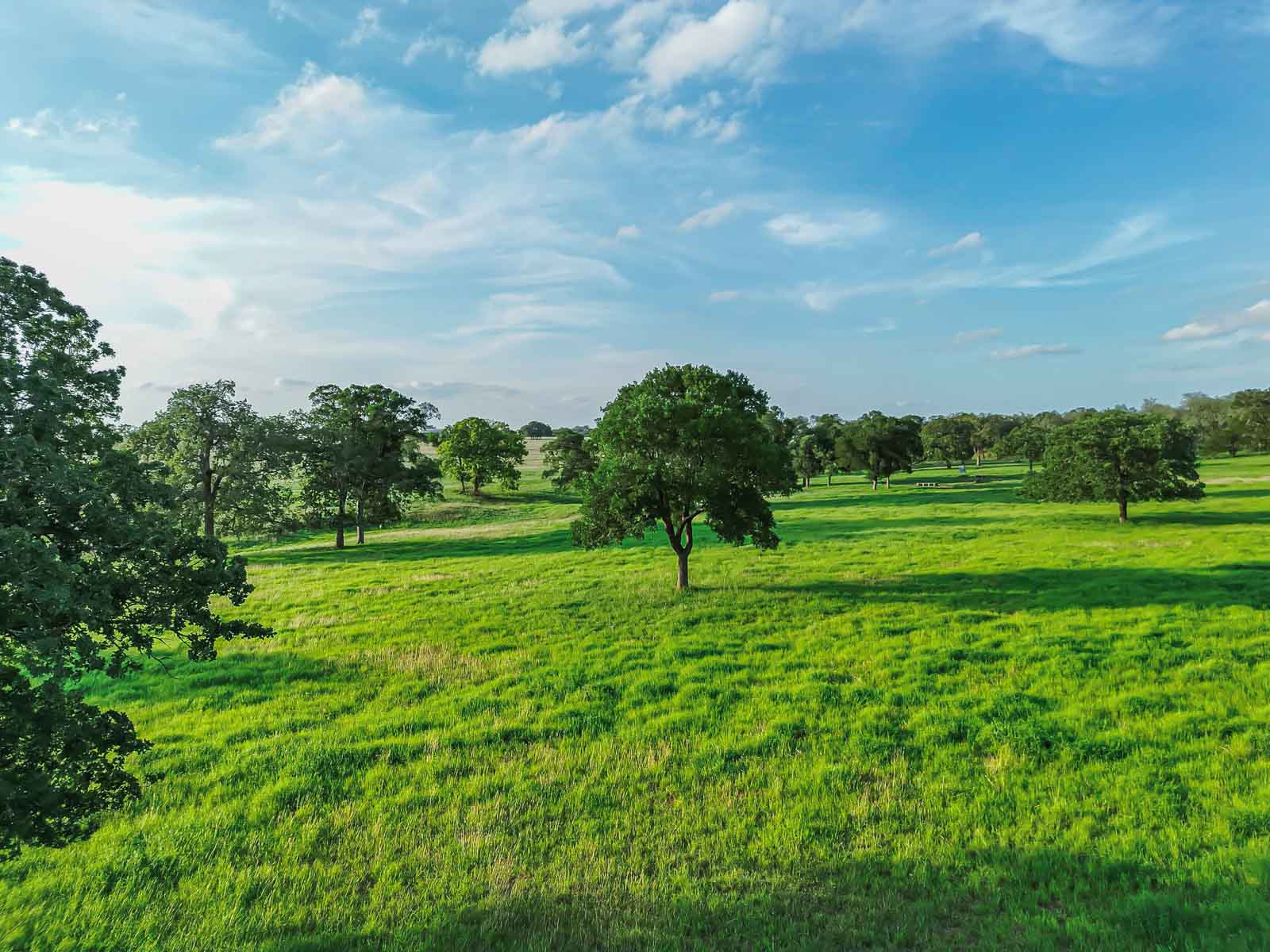 Lockhart Hills Ranch property picture 12 of 65
