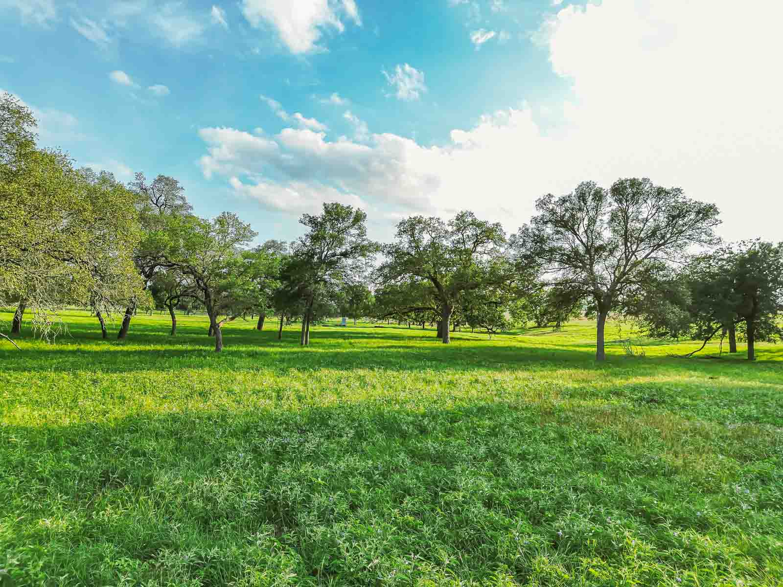 Lockhart Hills Ranch property picture 35 of 65