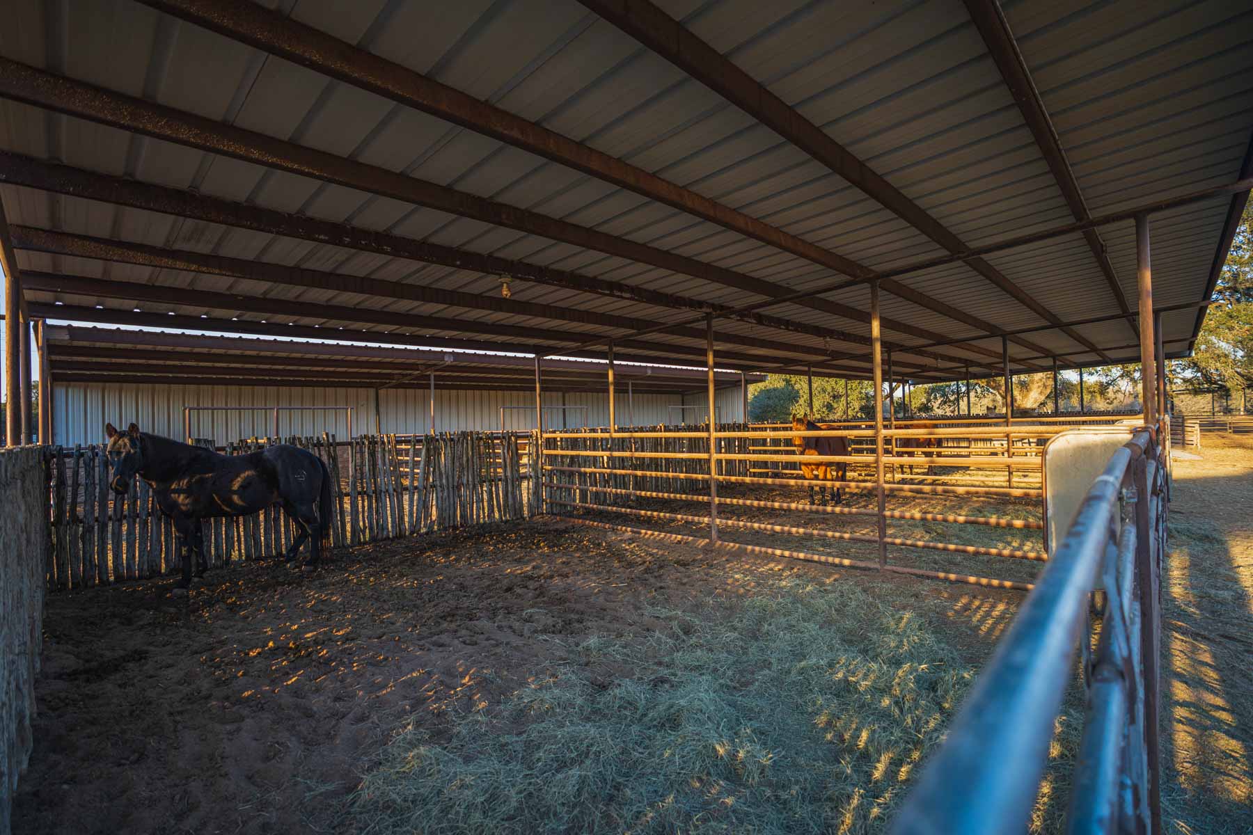 Lockhart Hills Ranch property picture 59 of 65