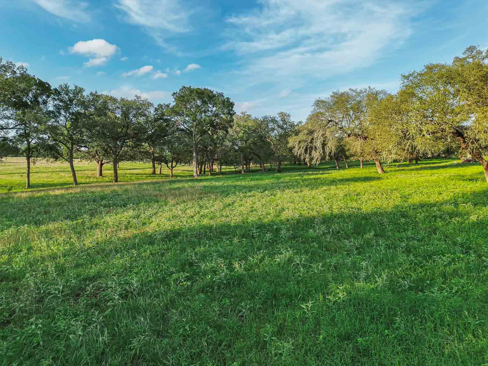 Lockhart Hills Ranch property picture 36 of 65