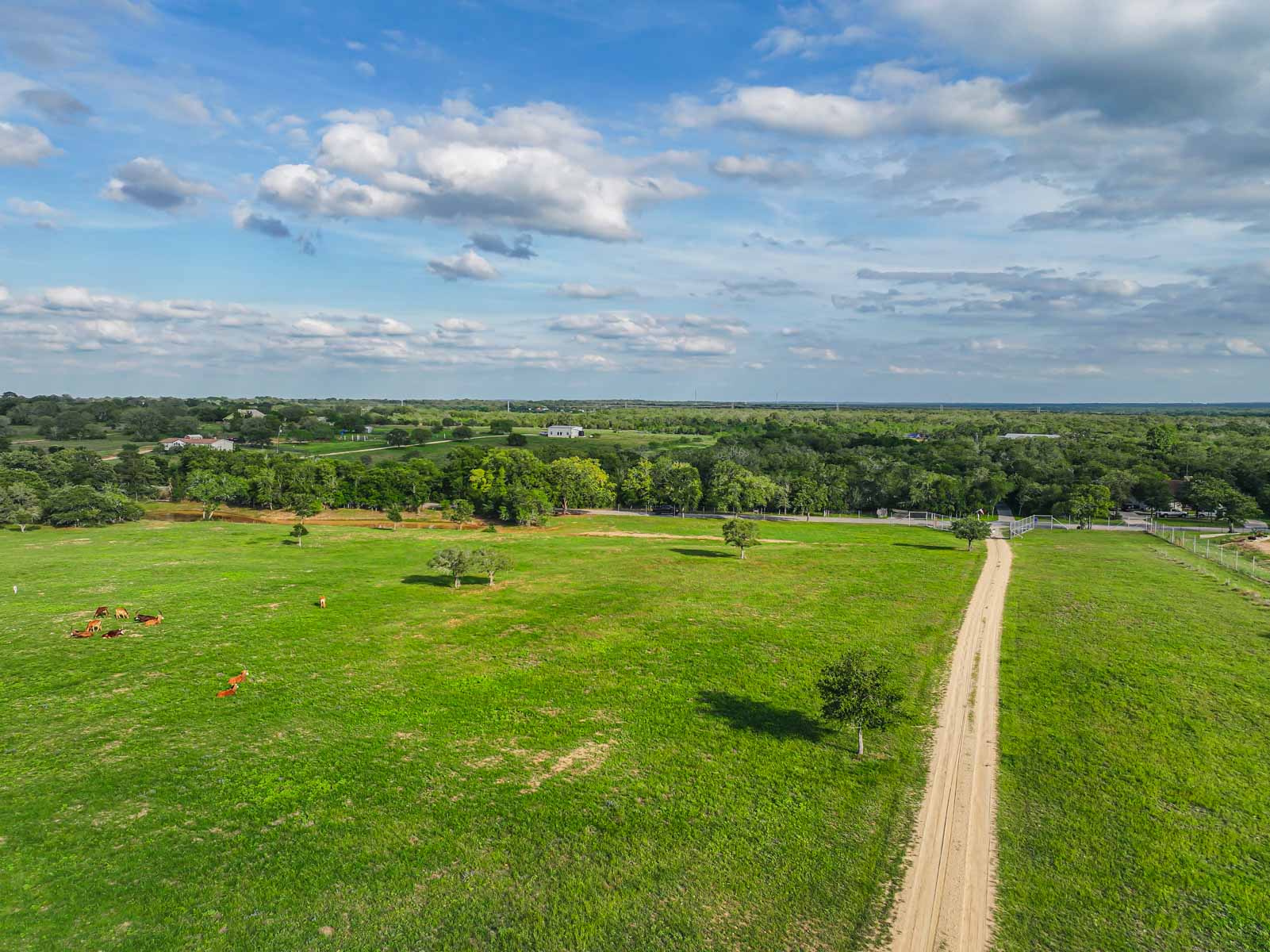 Lockhart Hills Ranch property picture 23 of 65