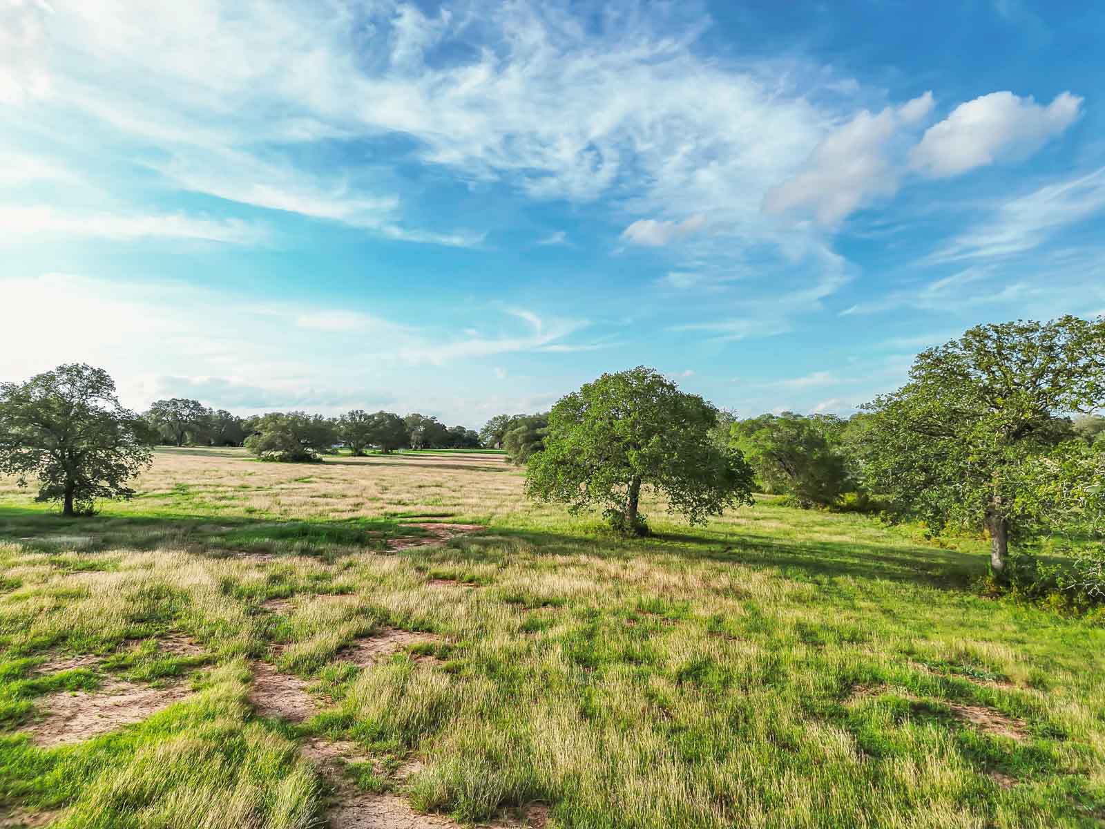Lockhart Hills Ranch property picture 31 of 65