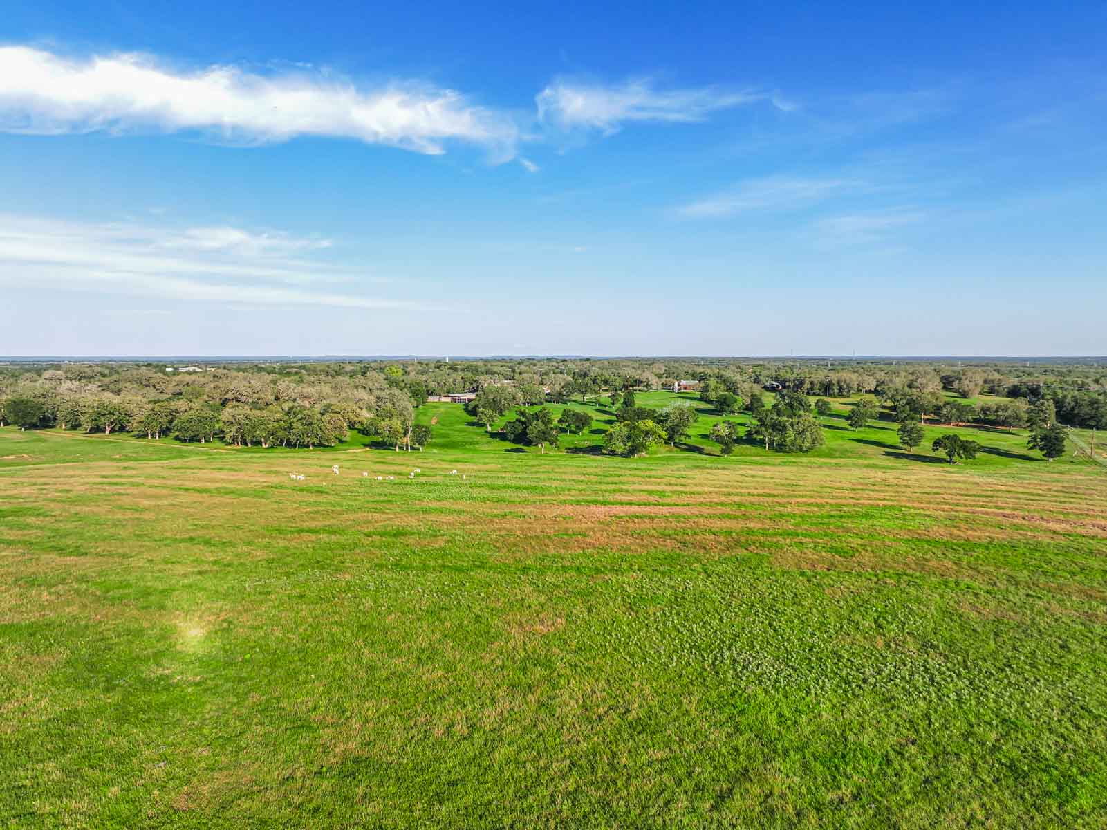 Lockhart Hills Ranch property picture 17 of 65