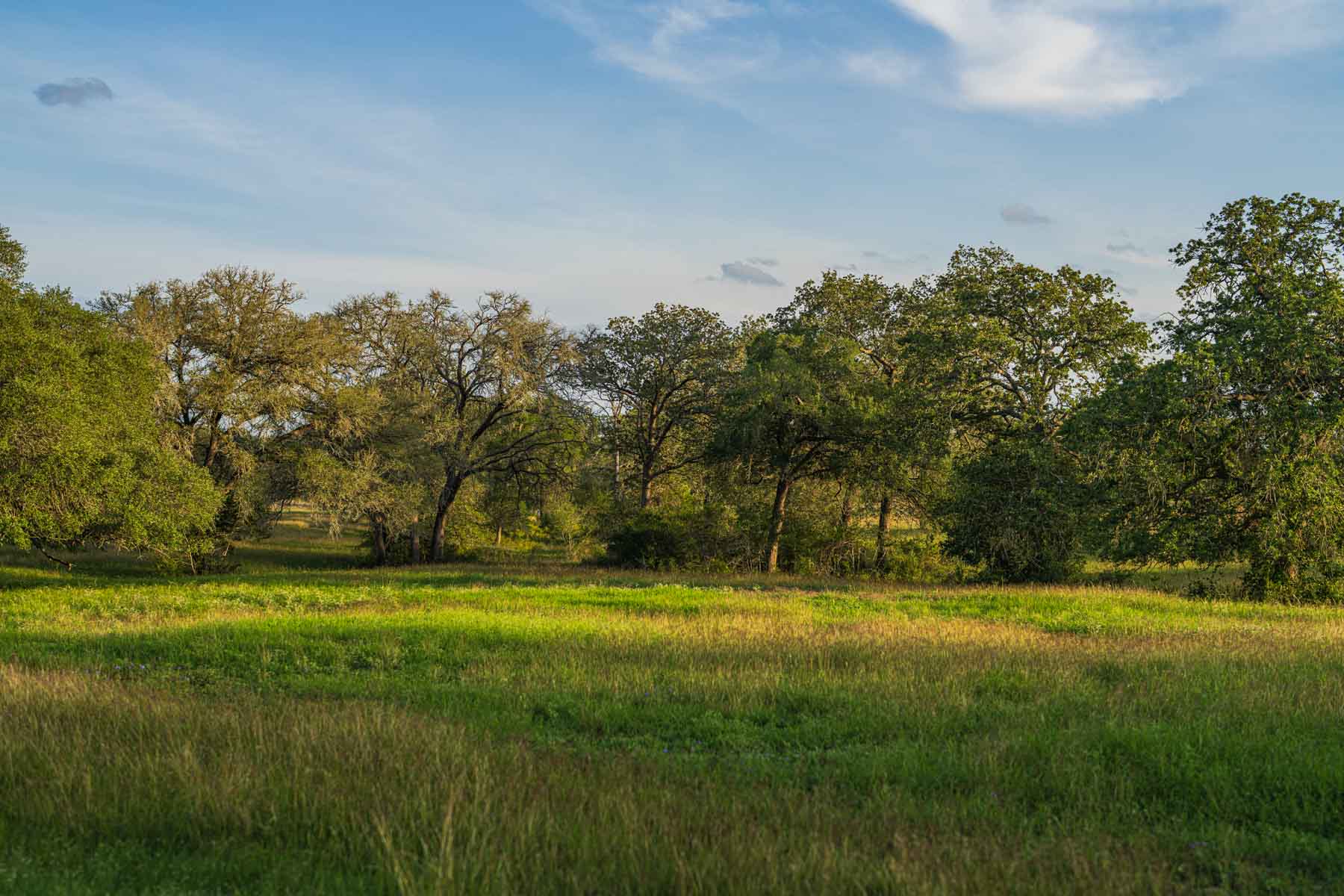 Lockhart Hills Ranch property picture 10 of 65