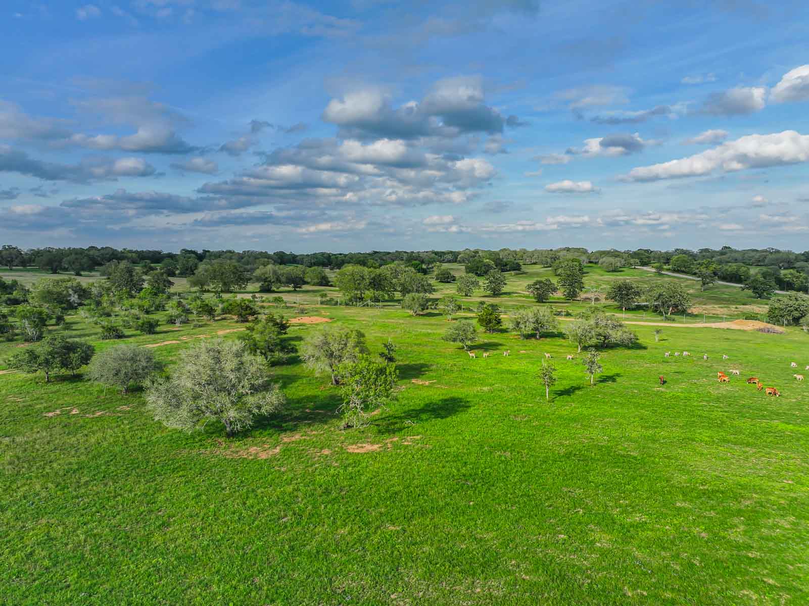 Lockhart Hills Ranch property picture 24 of 65