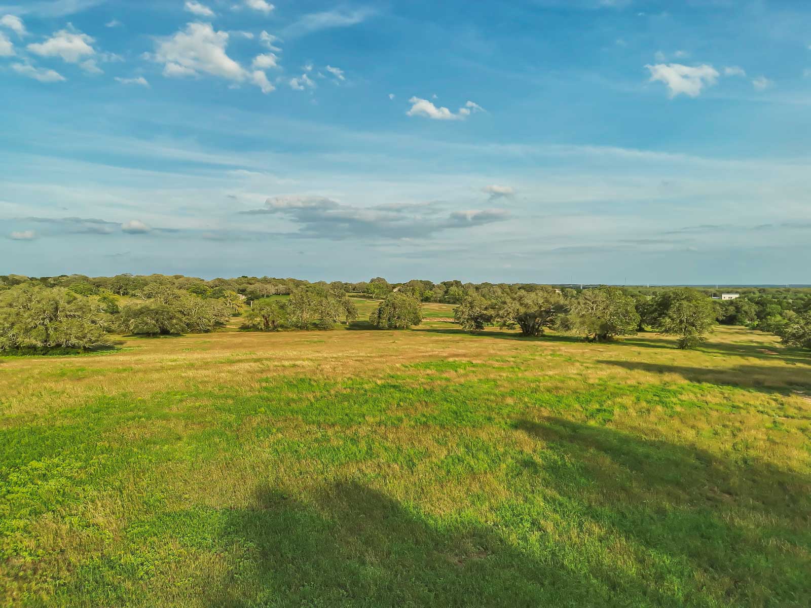 Lockhart Hills Ranch property picture 33 of 65