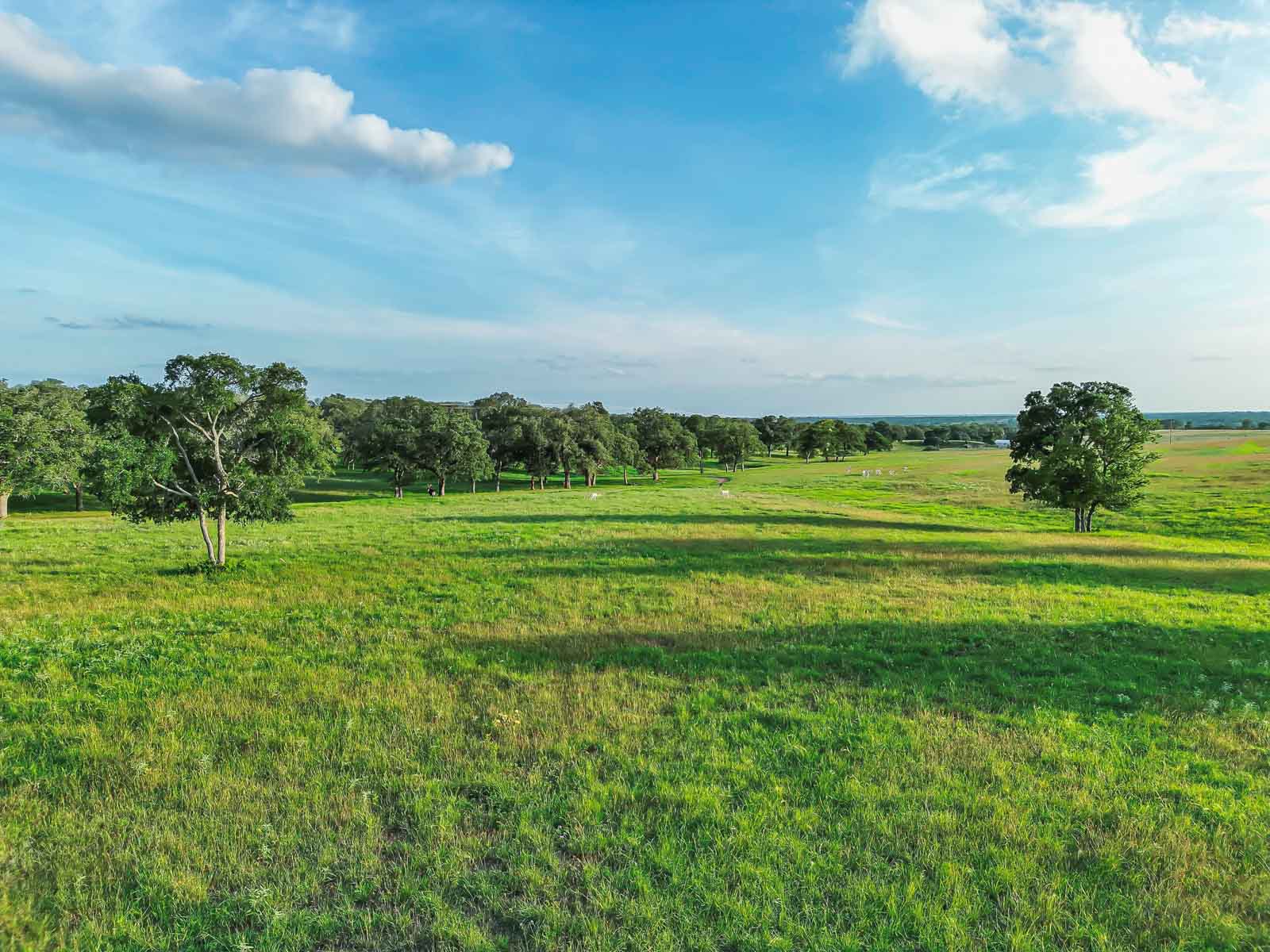 Lockhart Hills Ranch property picture 15 of 65