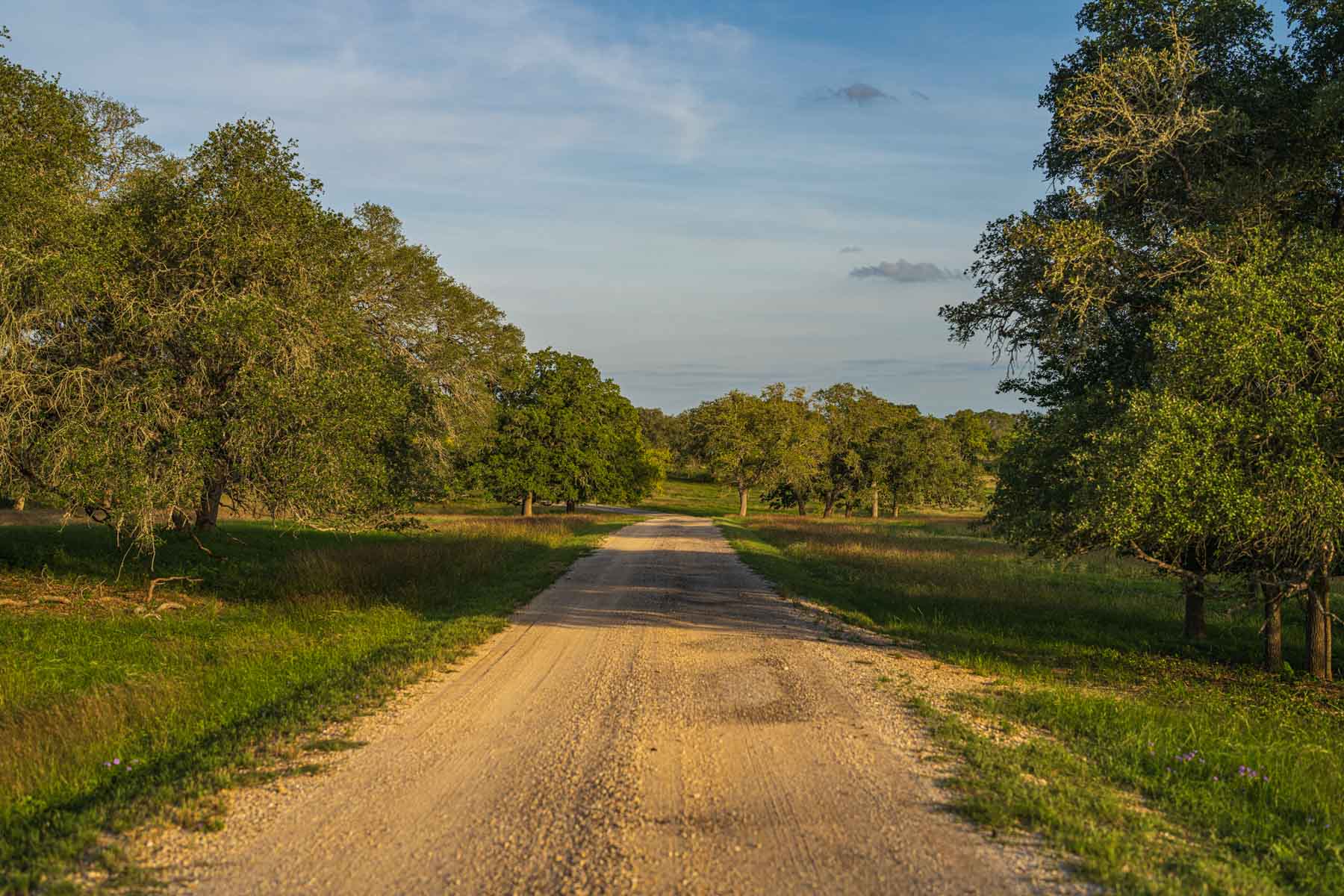 Lockhart Hills Ranch property picture 9 of 65