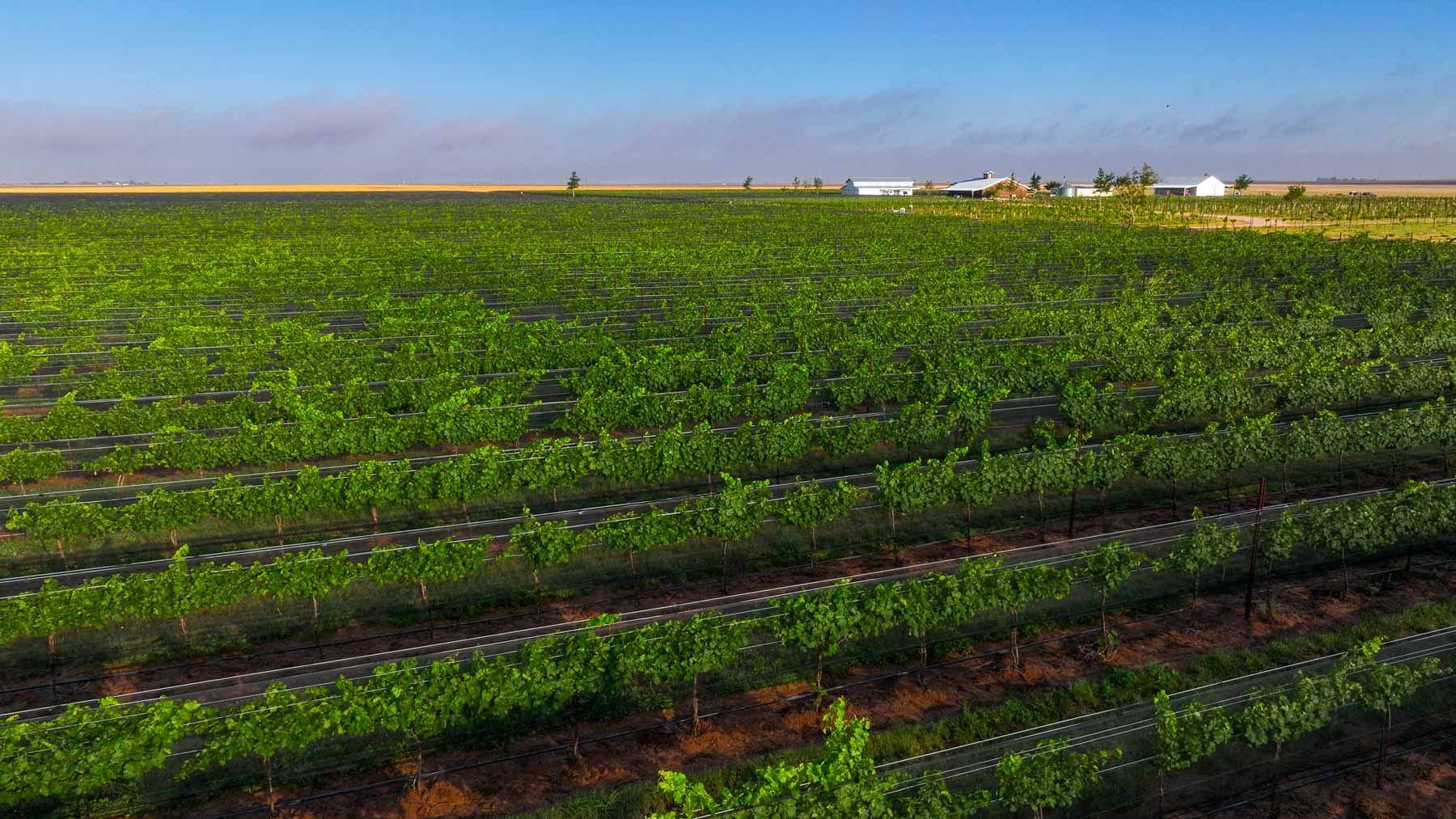 Kubacak Vineyards property picture 31 of 37