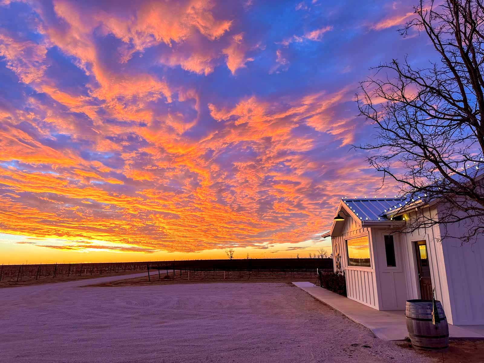 Kubacak Vineyards property picture 8 of 37