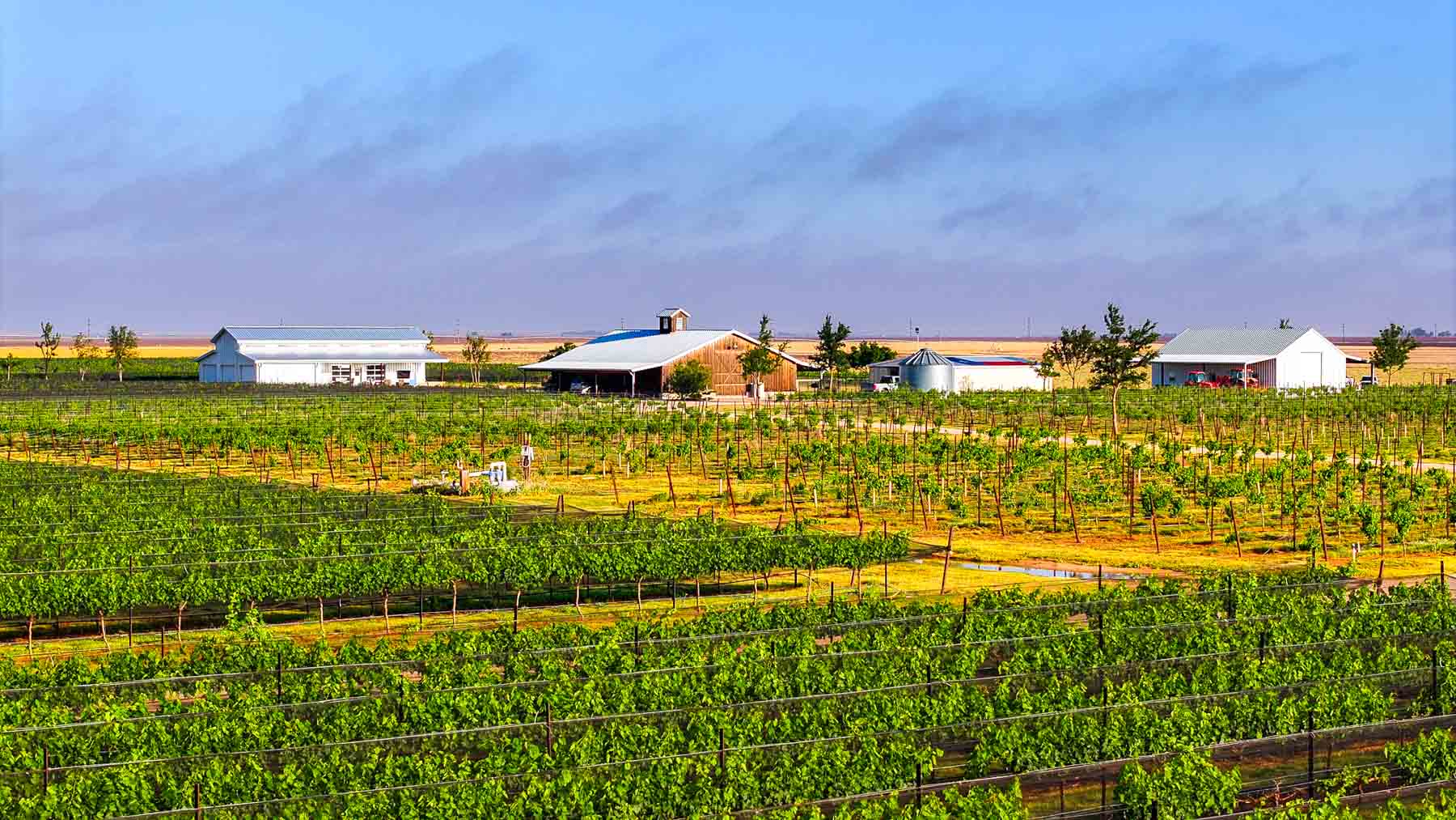 Kubacak Vineyards property picture 32 of 37