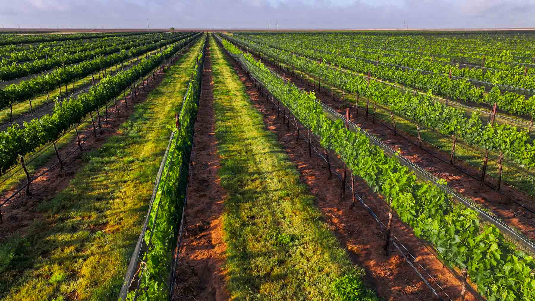 Kubacak Vineyards property picture 36 of 37