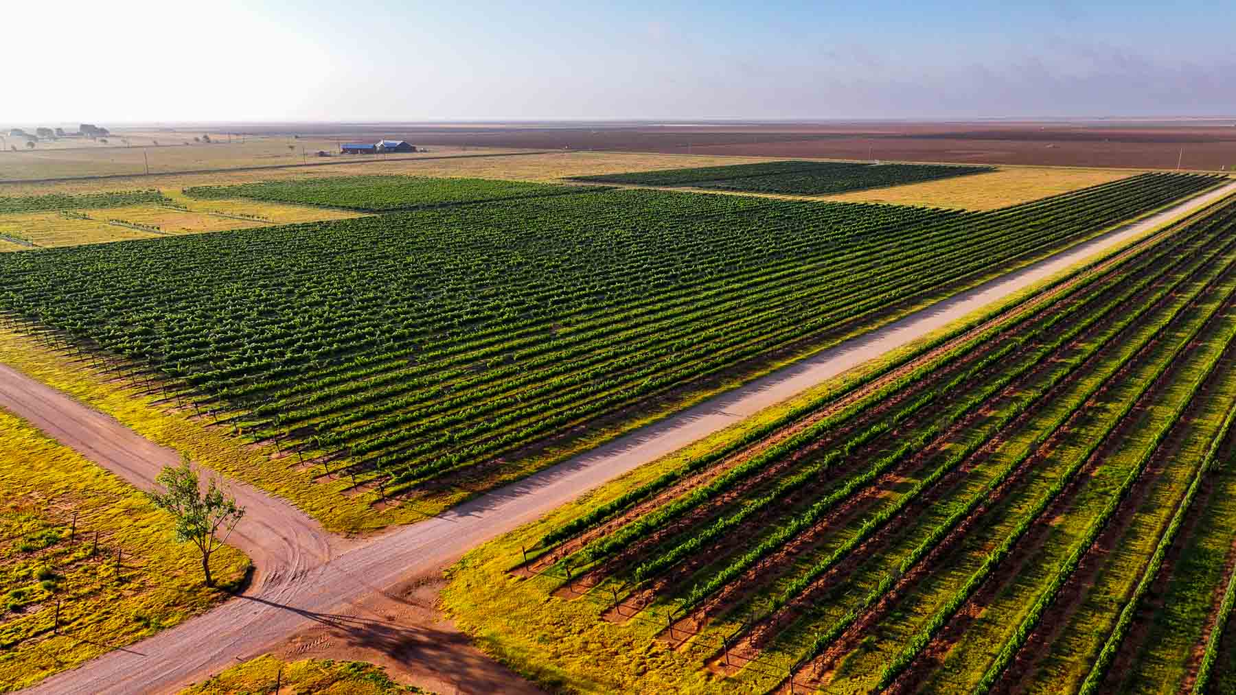 Kubacak Vineyards property picture 33 of 37