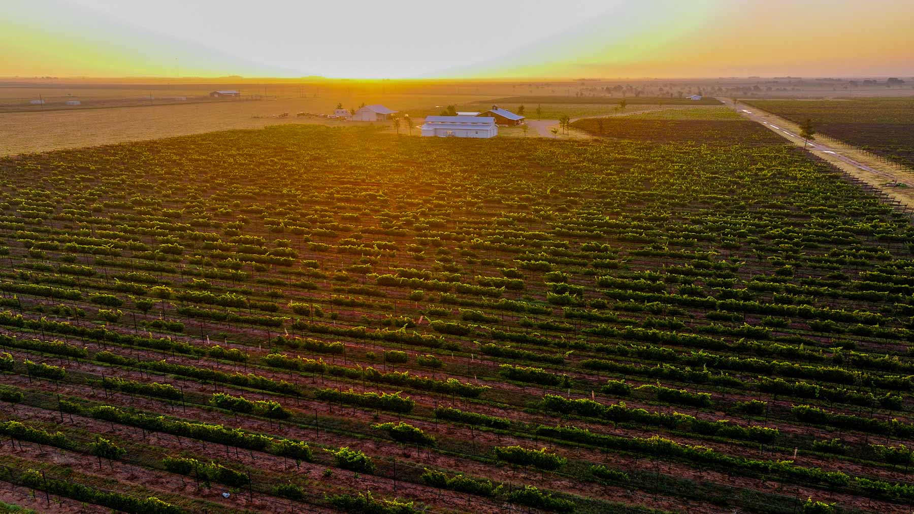 Kubacak Vineyards property picture 2 of 37