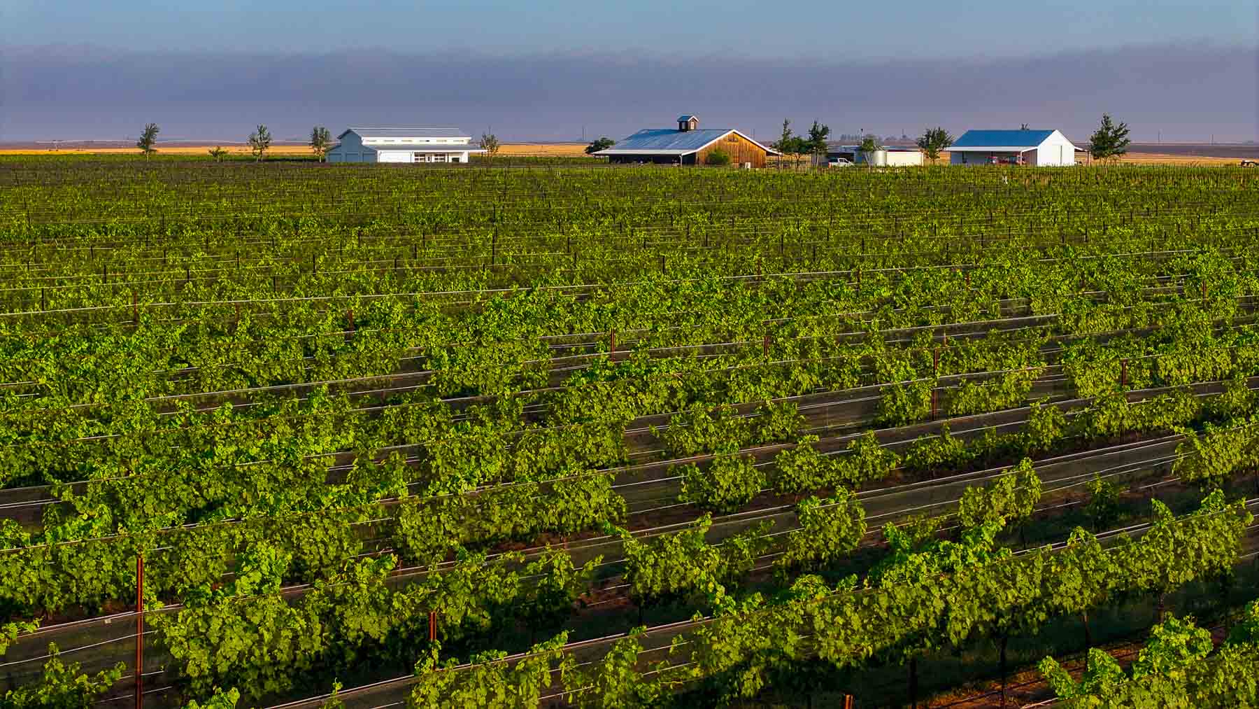 Kubacak Vineyards property picture 20 of 37