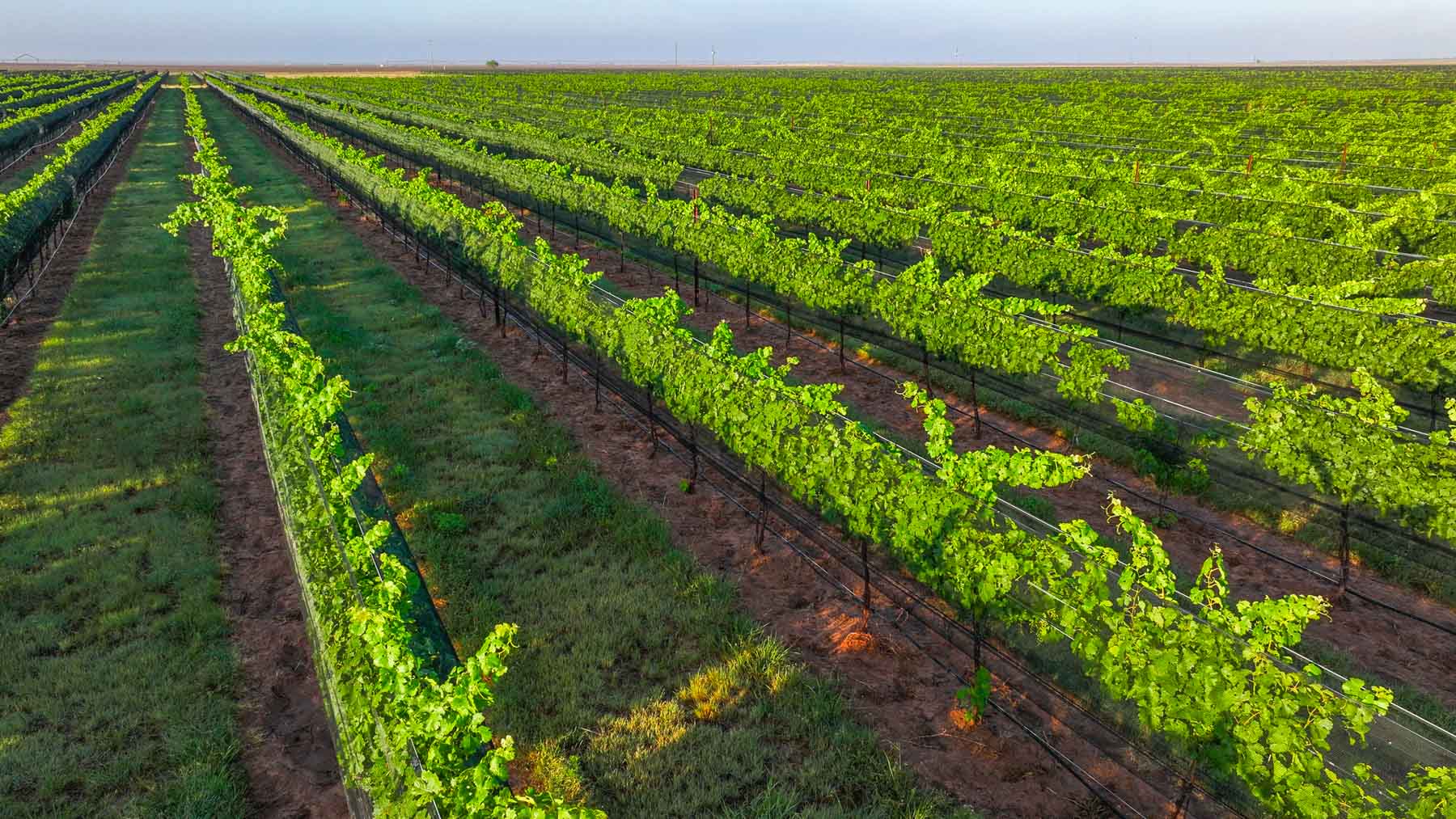 Kubacak Vineyards property picture 22 of 37