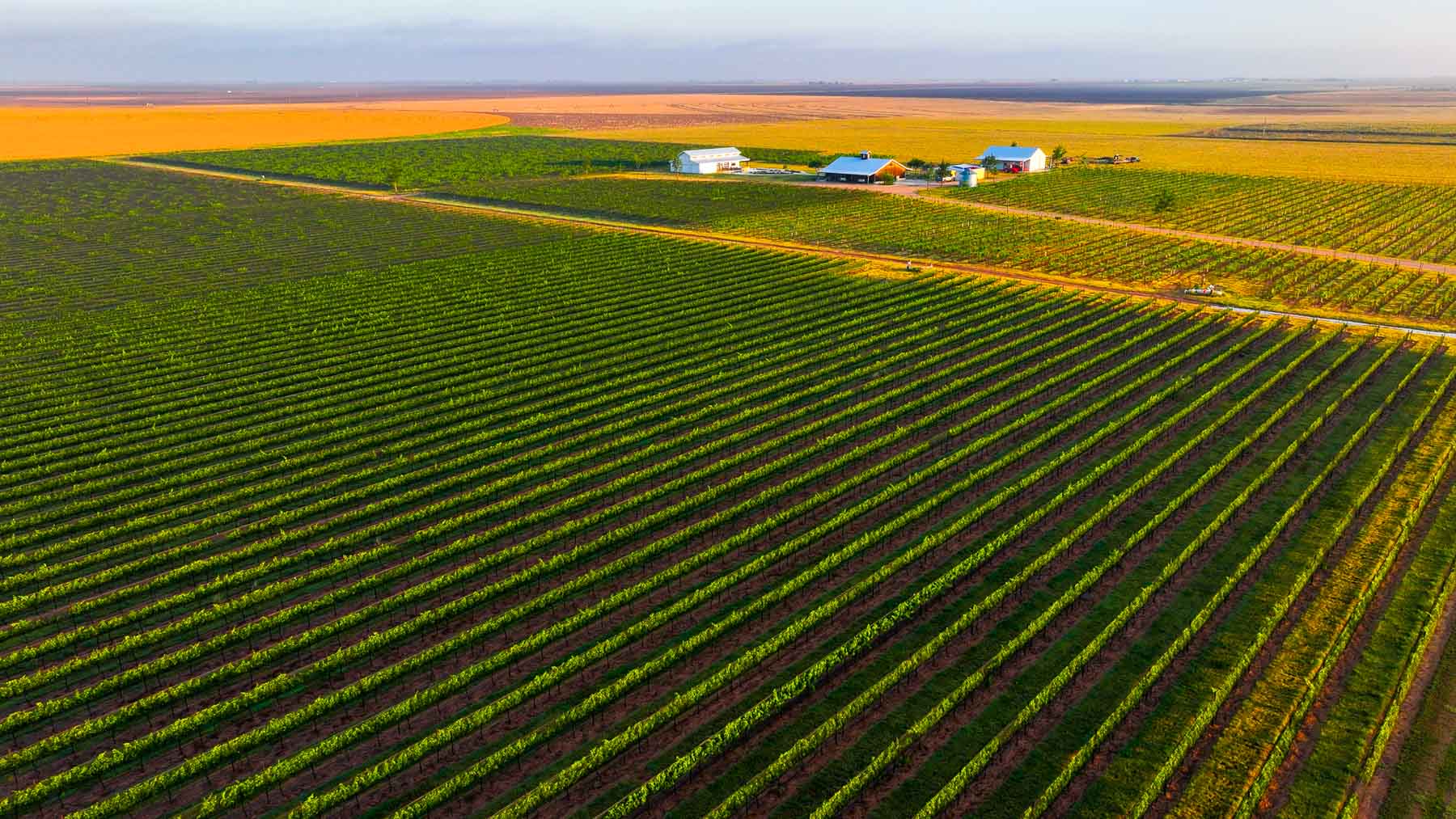 Kubacak Vineyards property picture 16 of 37