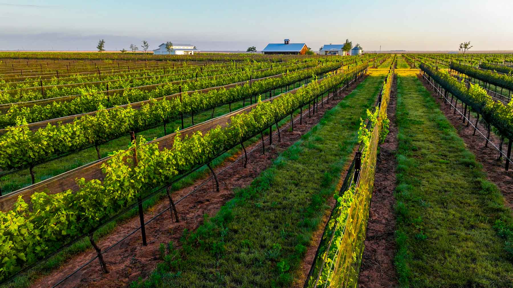 Kubacak Vineyards property picture 15 of 37