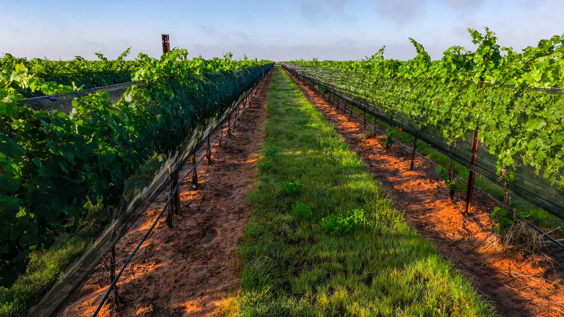 Kubacak Vineyards property picture 29 of 37