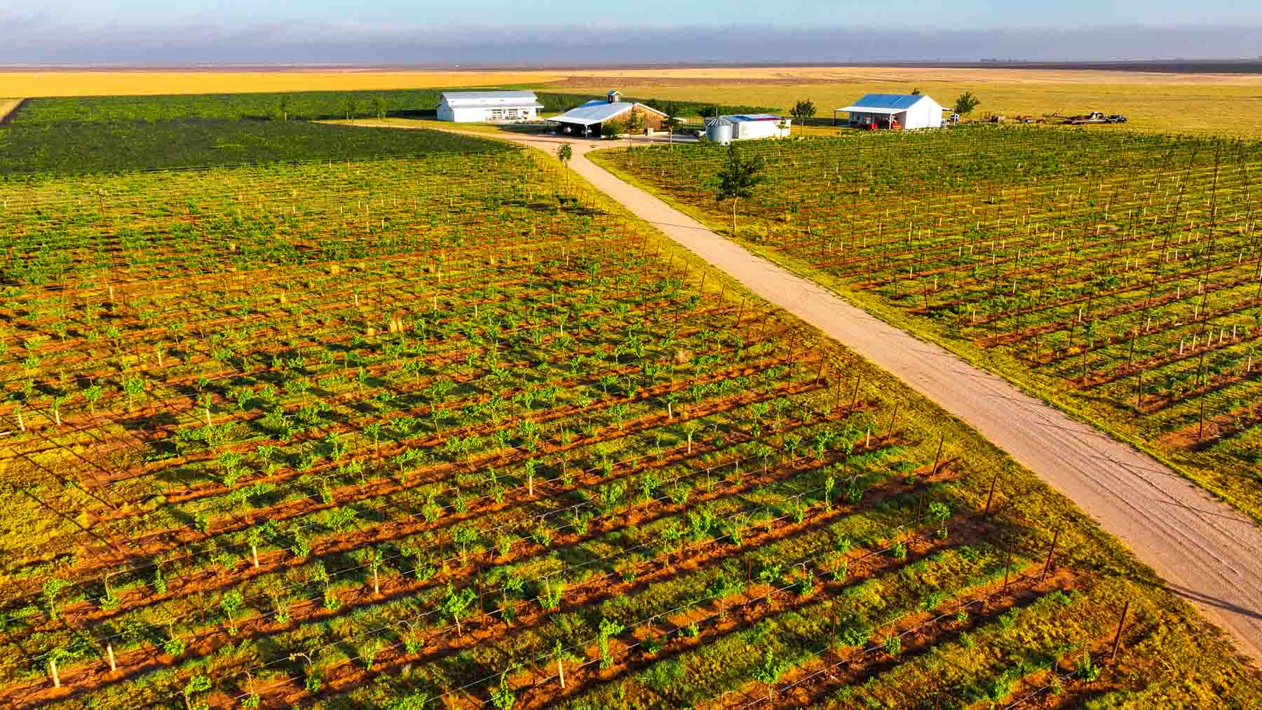 Kubacak Vineyards property picture 23 of 37