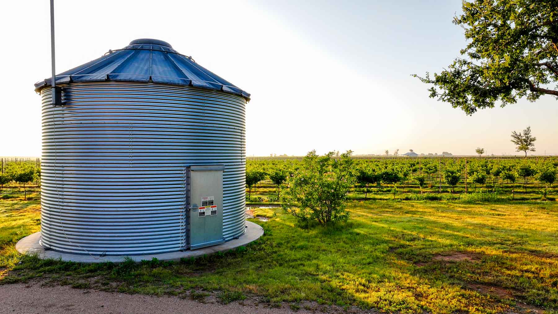 Kubacak Vineyards property picture 9 of 37