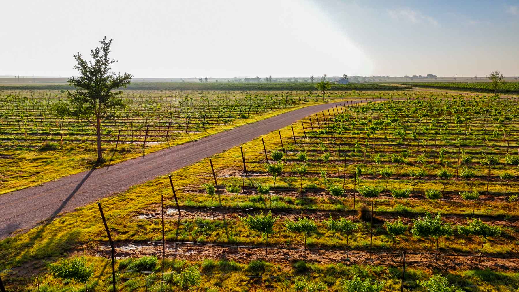 Kubacak Vineyards property picture 28 of 37