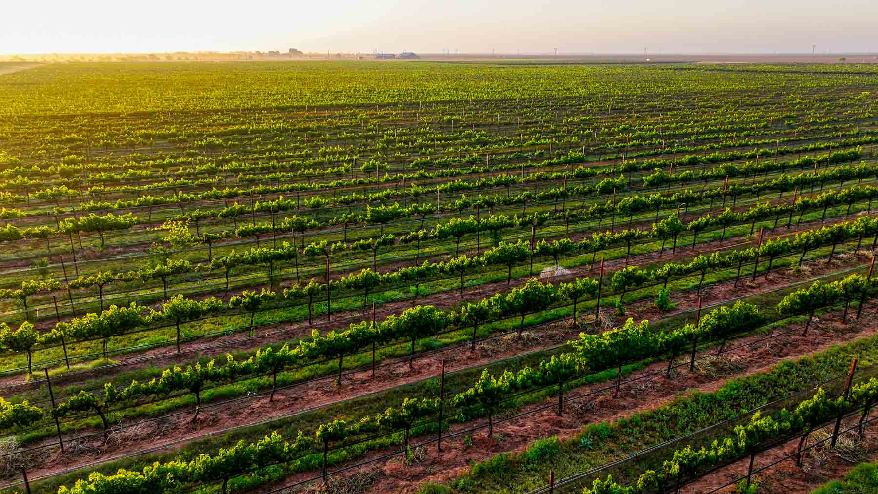 Kubacak Vineyards property picture 14 of 37