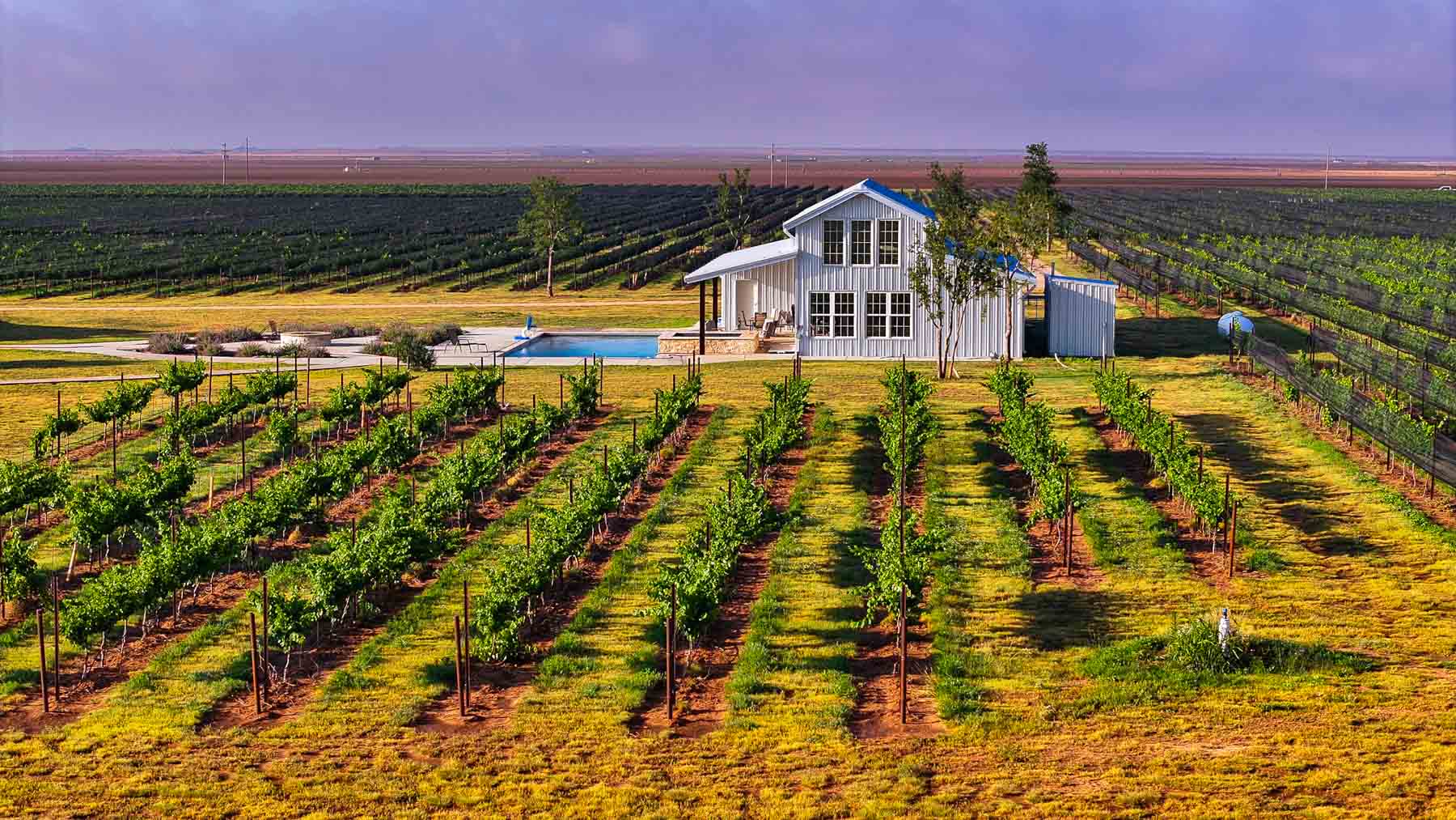 Kubacak Vineyards property picture 37 of 37