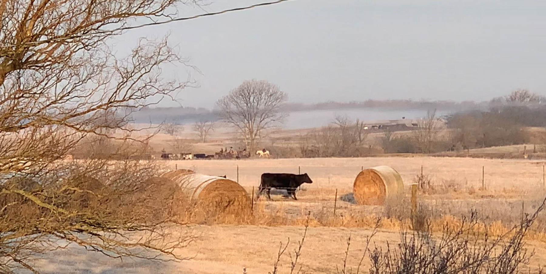 Barnes & Nettels B&N Ranch property picture 8 of 43