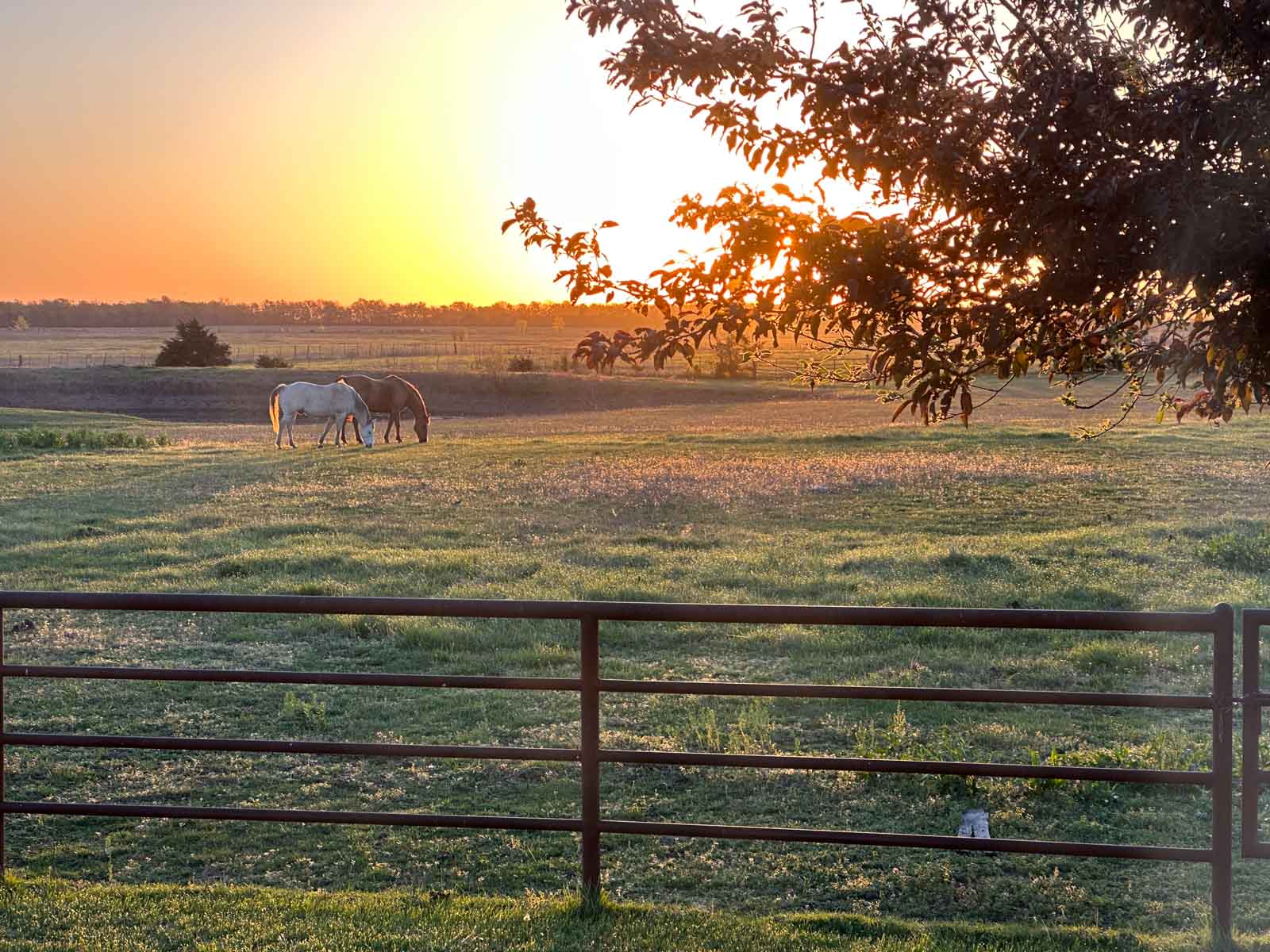 Barnes & Nettels B&N Ranch property picture 31 of 43