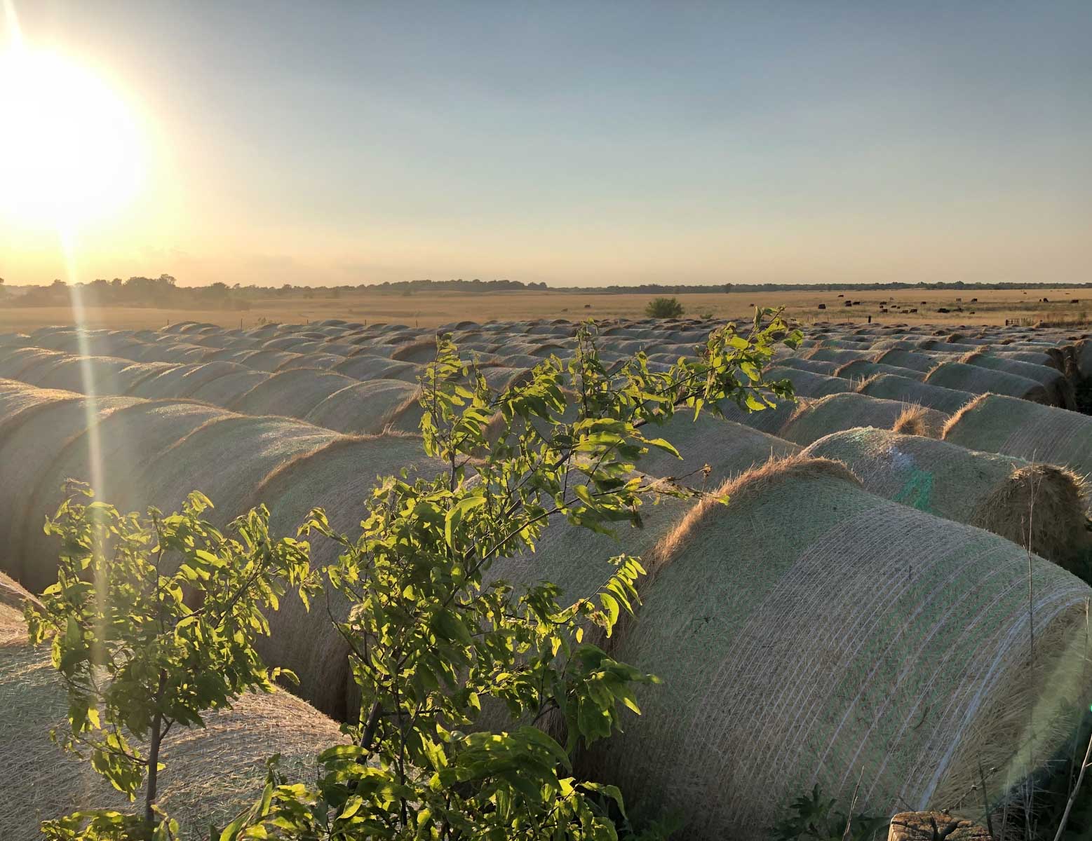 Barnes & Nettels B&N Ranch property picture 3 of 43