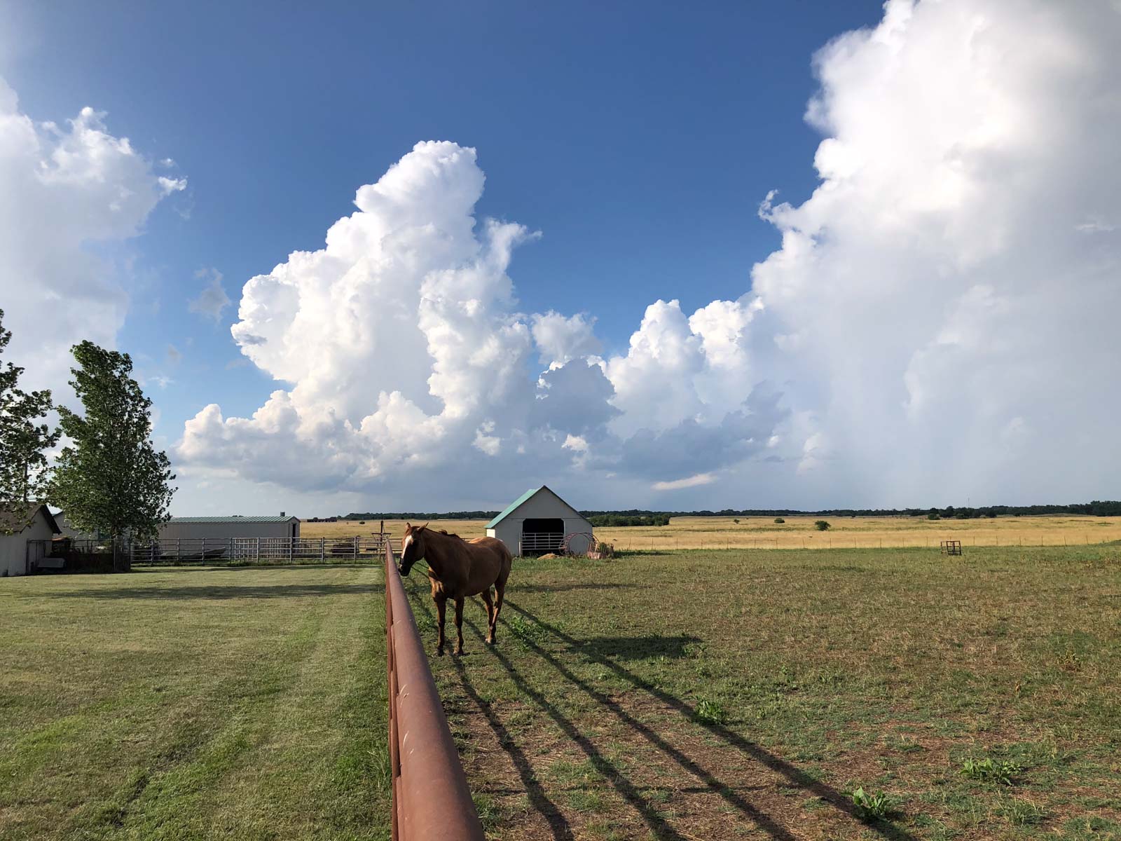 Barnes & Nettels B&N Ranch property picture 43 of 43