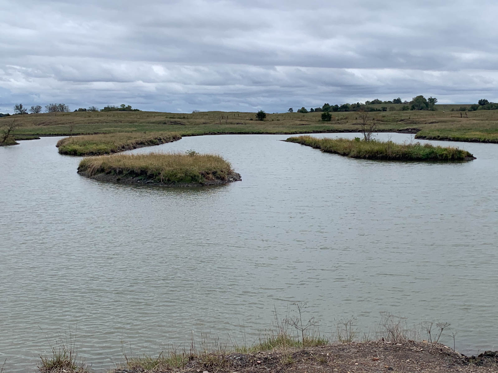 Barnes & Nettels B&N Ranch property picture 18 of 43