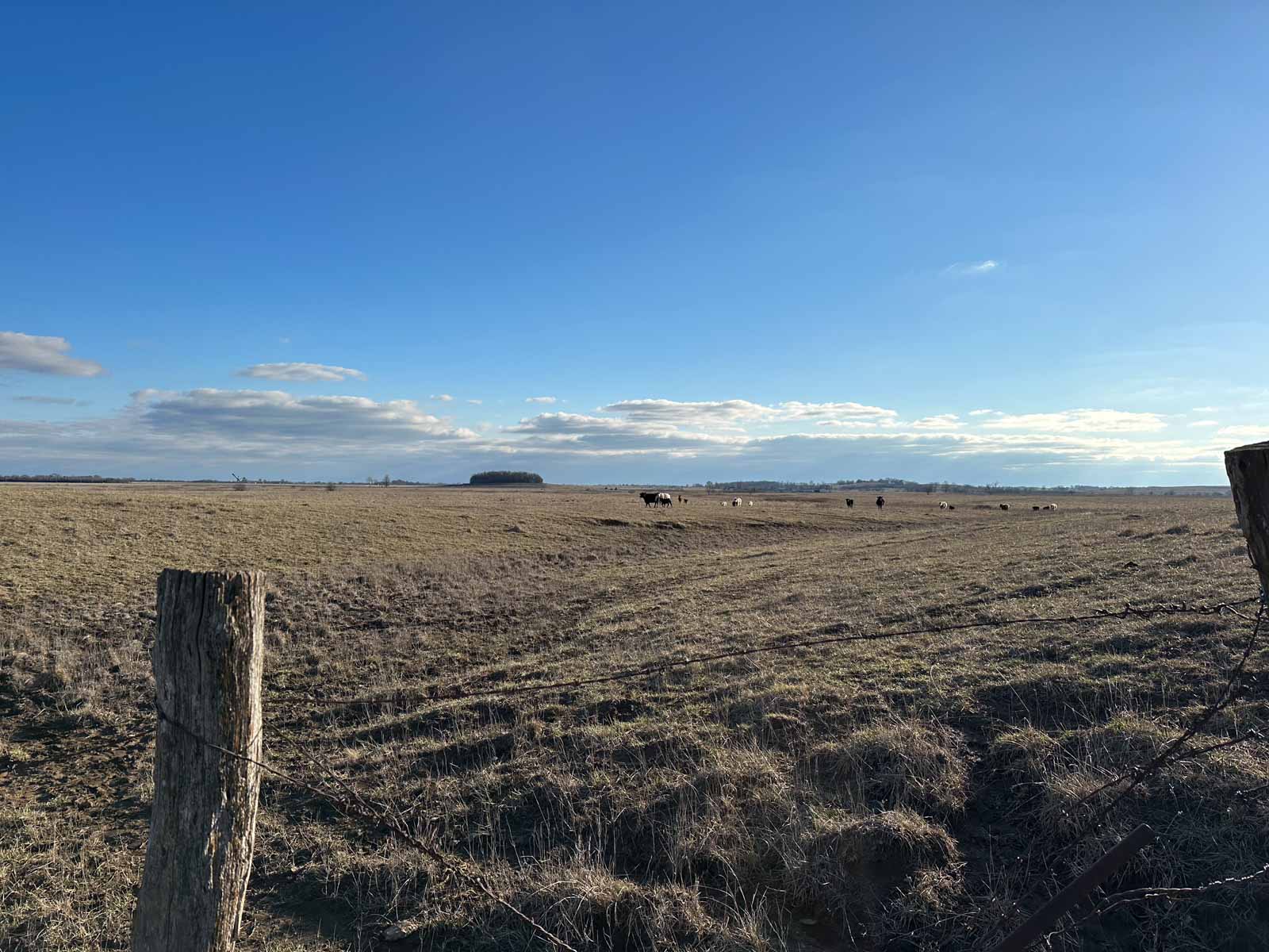 Barnes & Nettels B&N Ranch property picture 27 of 43