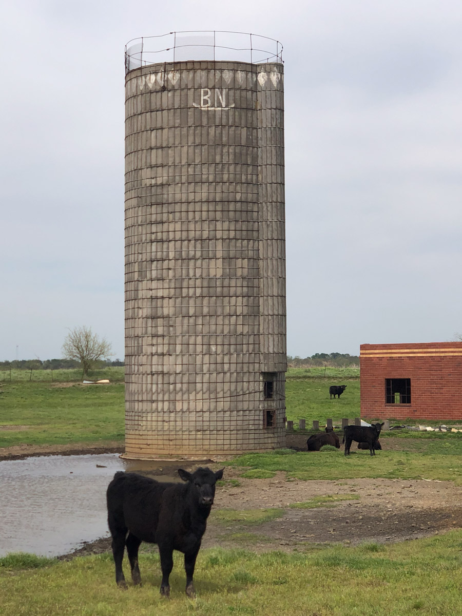 Barnes & Nettels B&N Ranch property picture 10 of 43