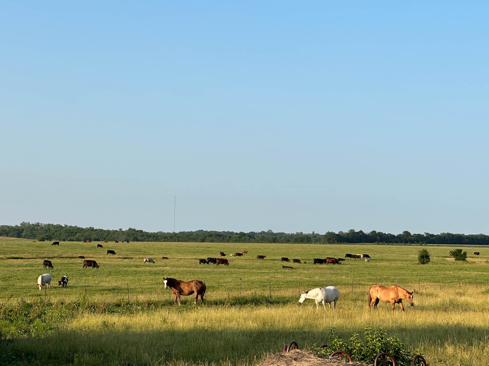 Barnes & Nettels B&N Ranch property picture 29 of 43