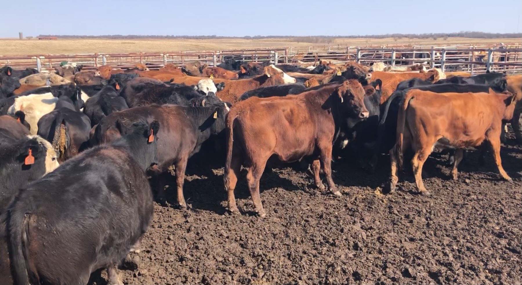 Barnes & Nettels B&N Ranch property picture 6 of 43