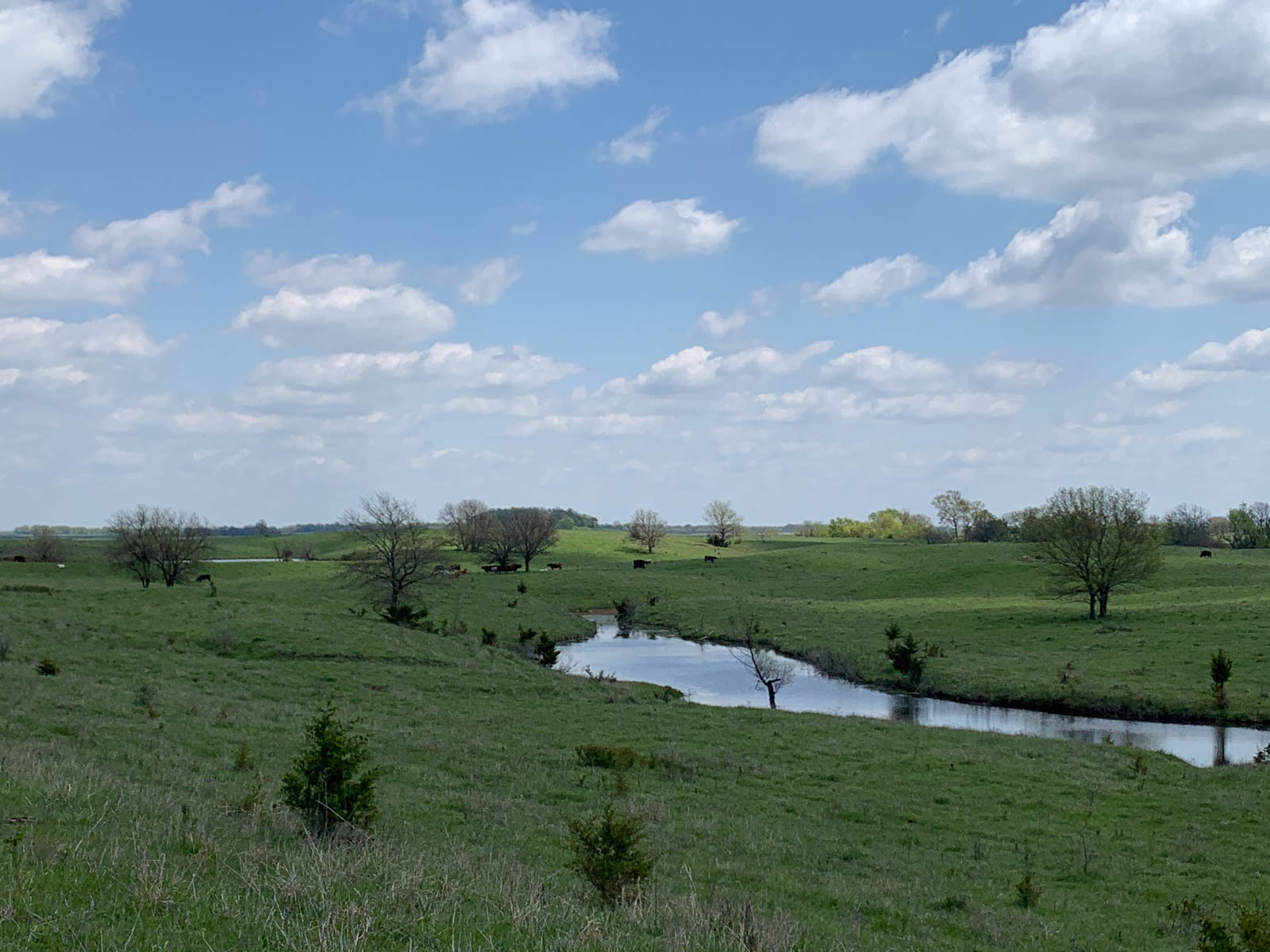 Barnes & Nettels B&N Ranch property picture 9 of 43