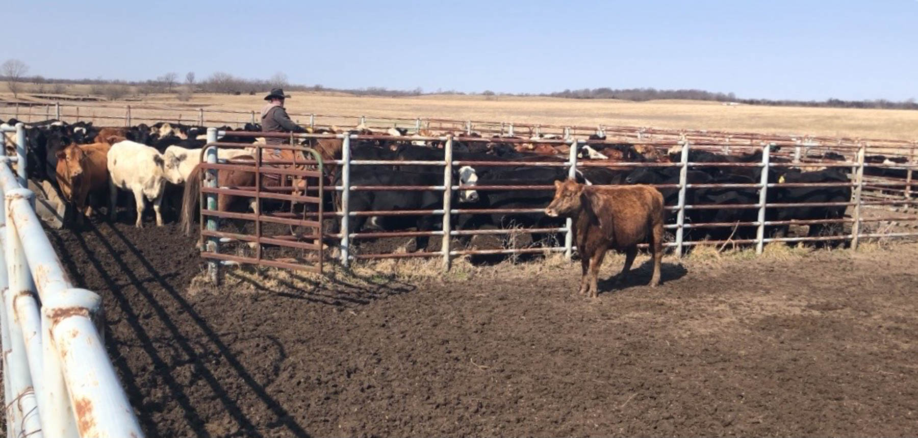 Barnes & Nettels B&N Ranch property picture 7 of 43