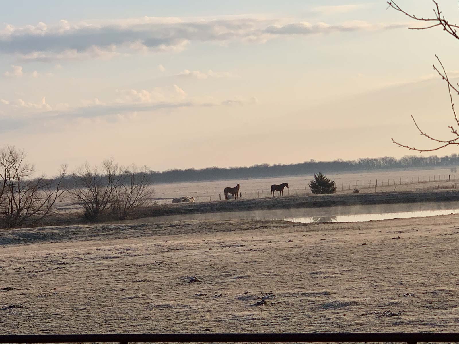 Barnes & Nettels B&N Ranch property picture 5 of 43