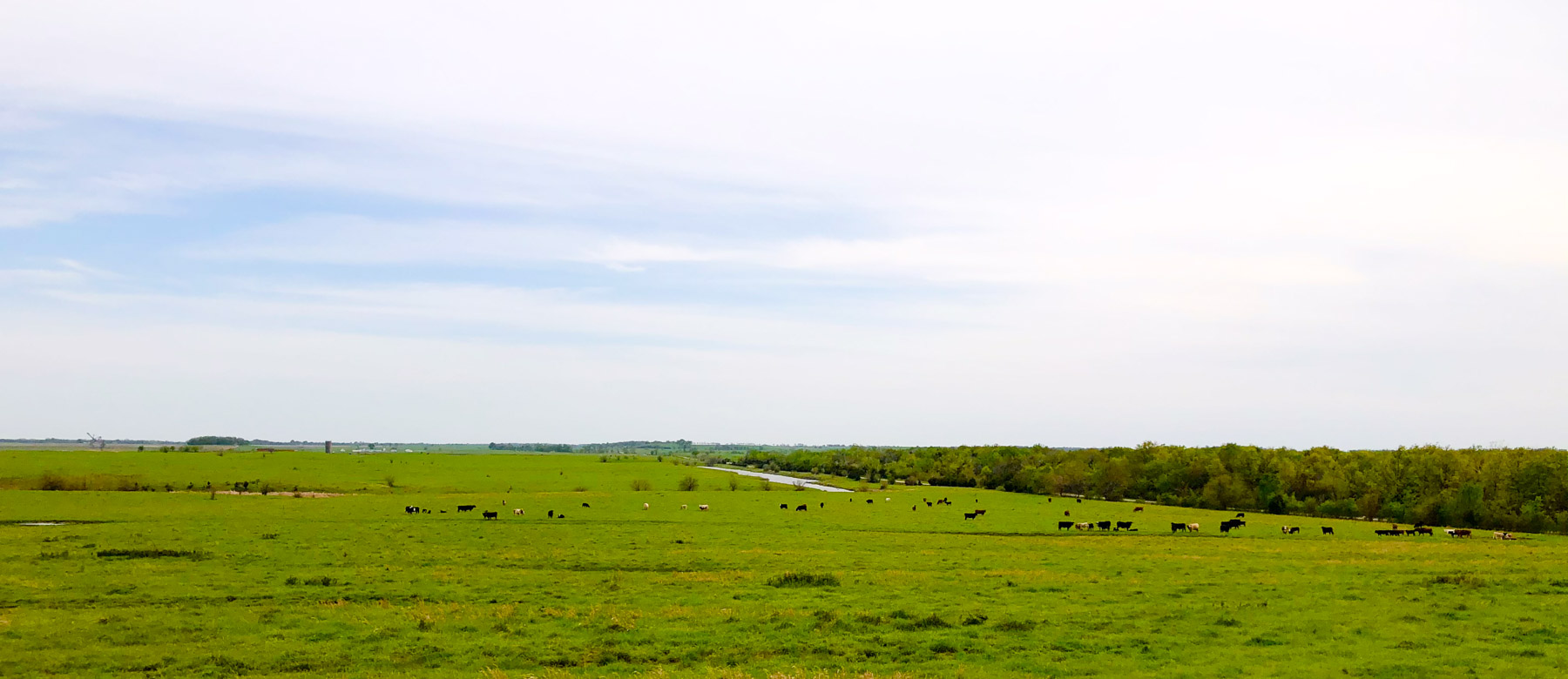 Barnes & Nettels B&N Ranch property picture 13 of 43