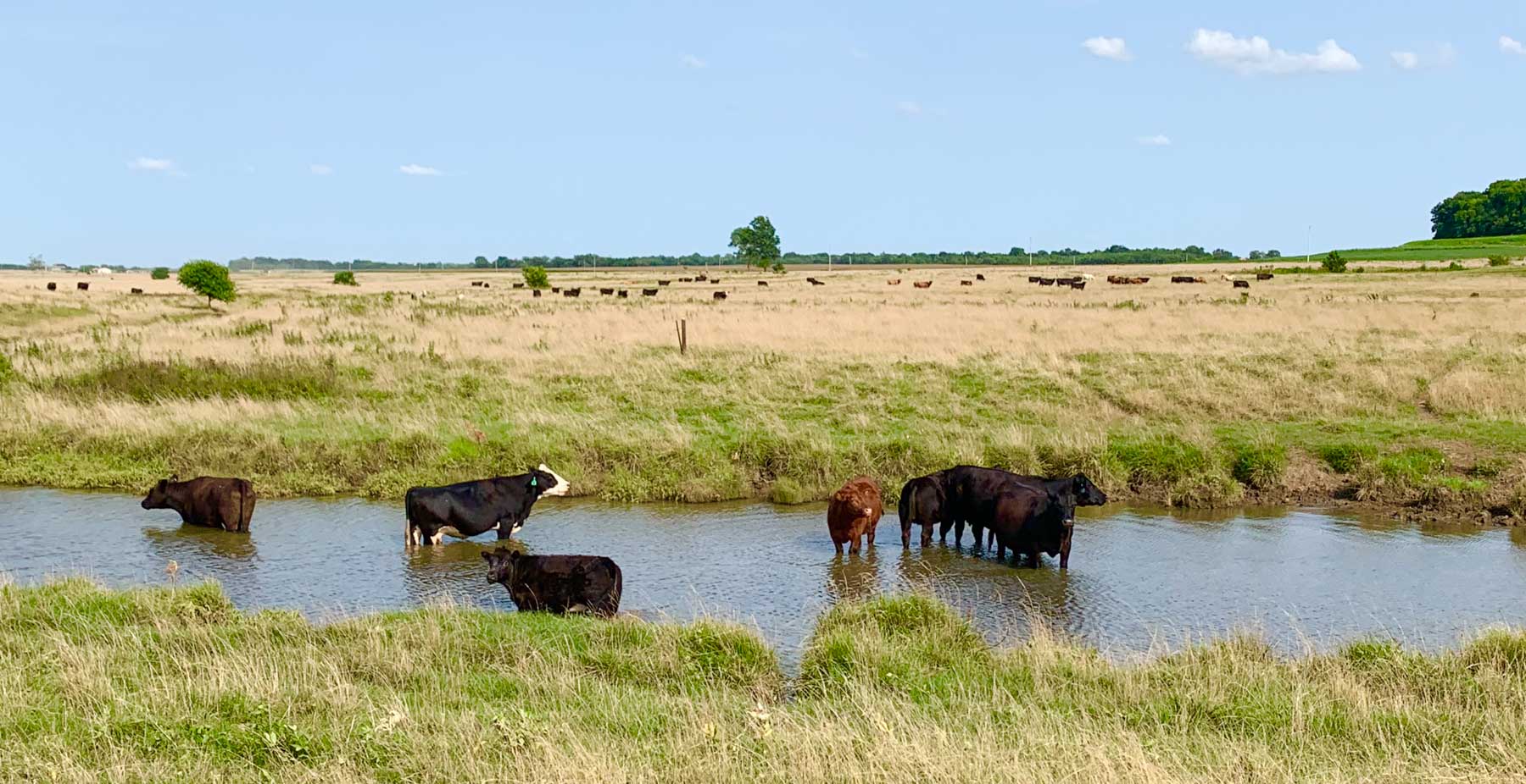 Barnes & Nettels B&N Ranch property picture 17 of 43