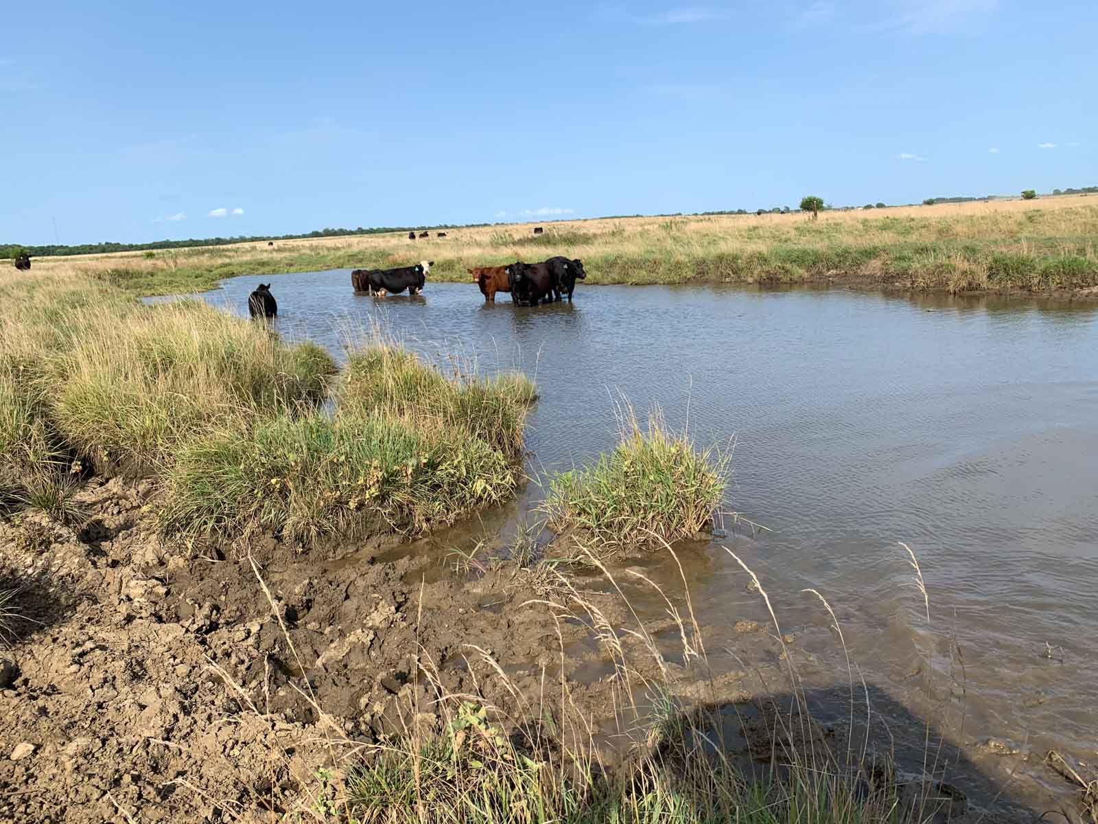 Barnes & Nettels B&N Ranch property picture 16 of 43